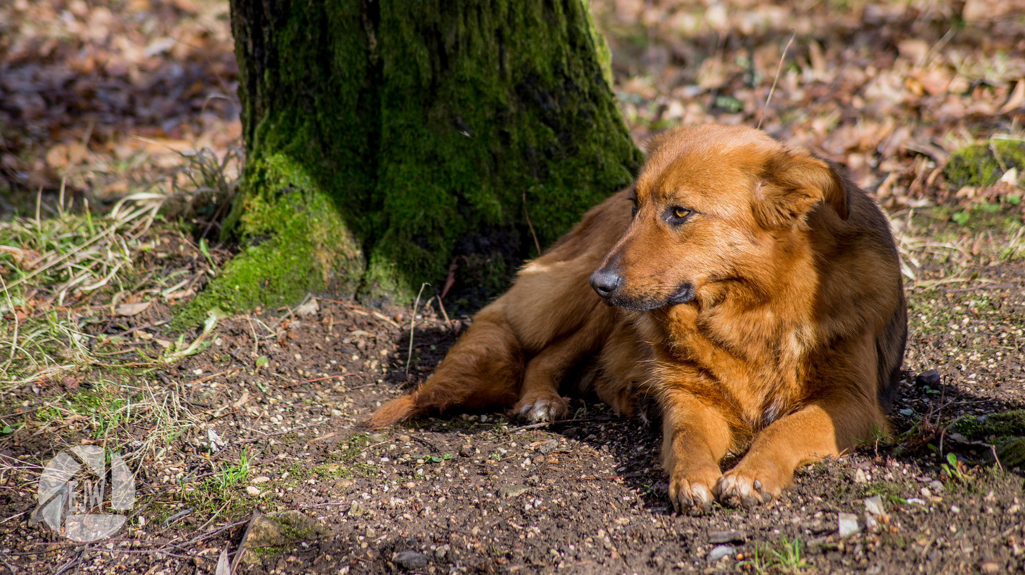 Sony DT 55-200mm F4-5.6 SAM sample photo. Vrelo bosne photography