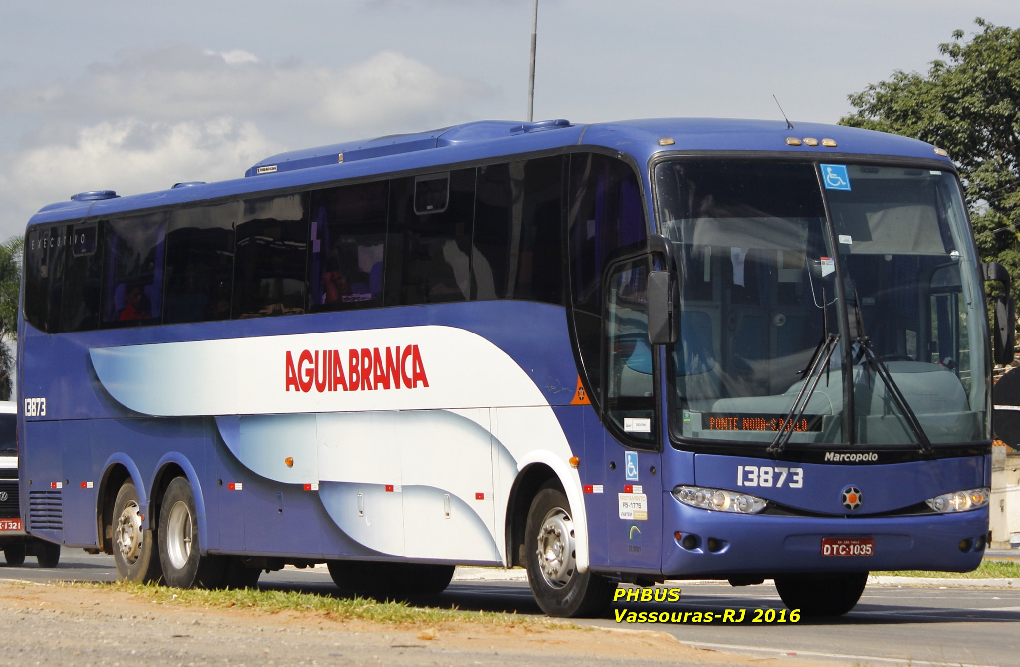 Canon EF-S 55-250mm F4-5.6 IS II sample photo. Aguia branca x flickr photography
