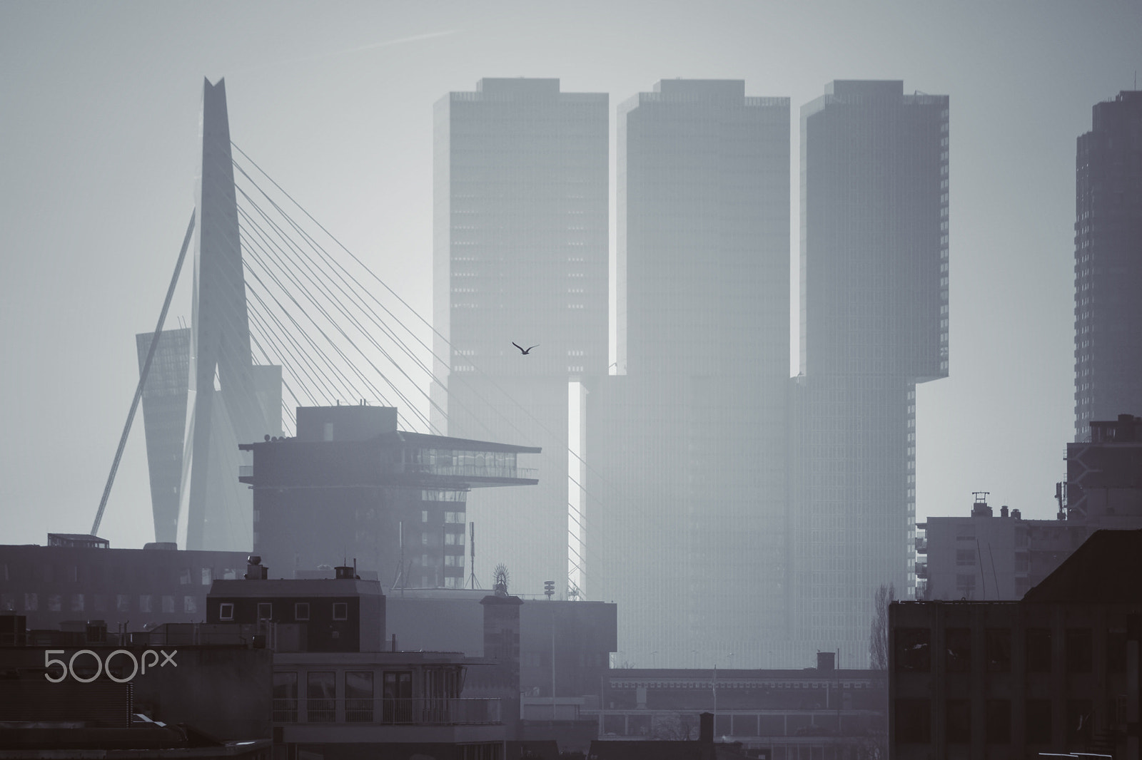 Canon EF 70-300mm F4-5.6 IS USM sample photo. Rotterdam photography