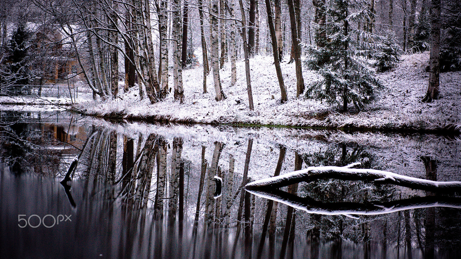 Sony SLT-A77 + Sigma 70mm F2.8 EX DG Macro sample photo. Trees and lake in the winter photography