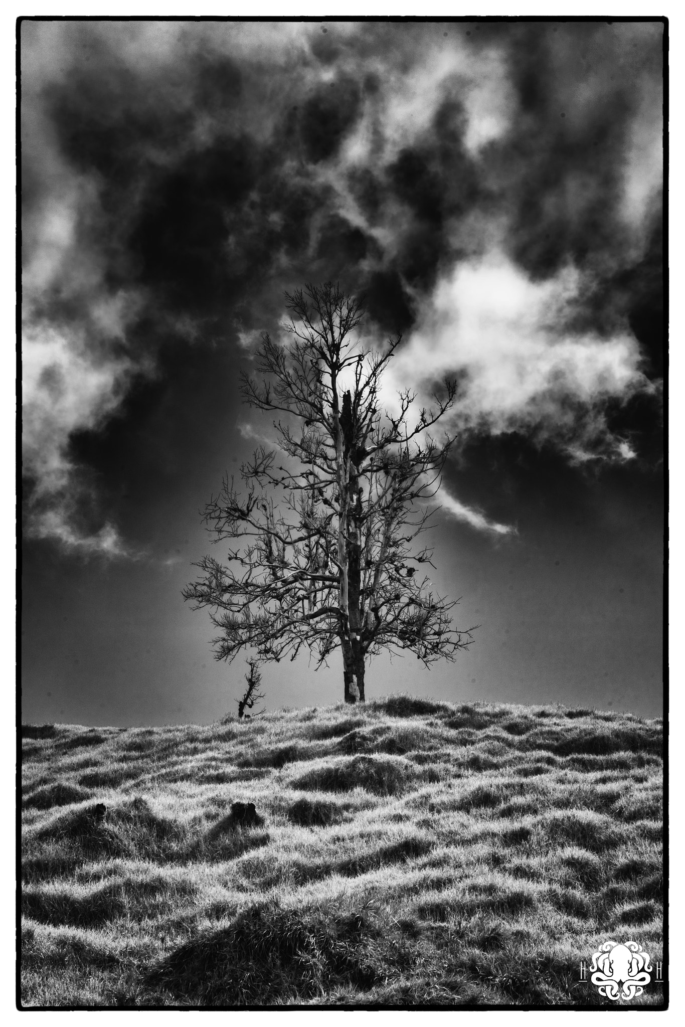 Sony a99 II + Sigma 17-70mm F2.8-4.5 (D) sample photo. Ash in the sky photography