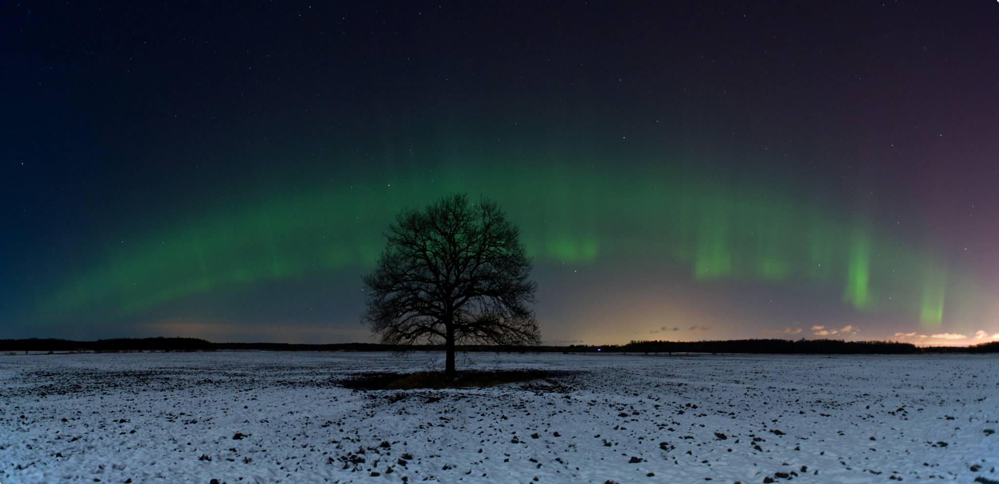 Nikon D3S + AF Nikkor 20mm f/2.8 sample photo. Powerful northern lights in estonia photography