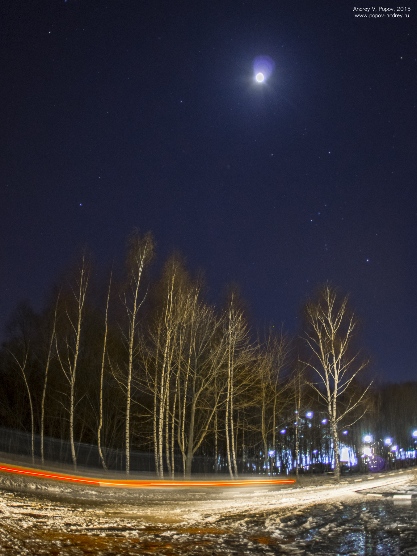 Pentax K-3 sample photo. Nightscape with birches and the moon photography