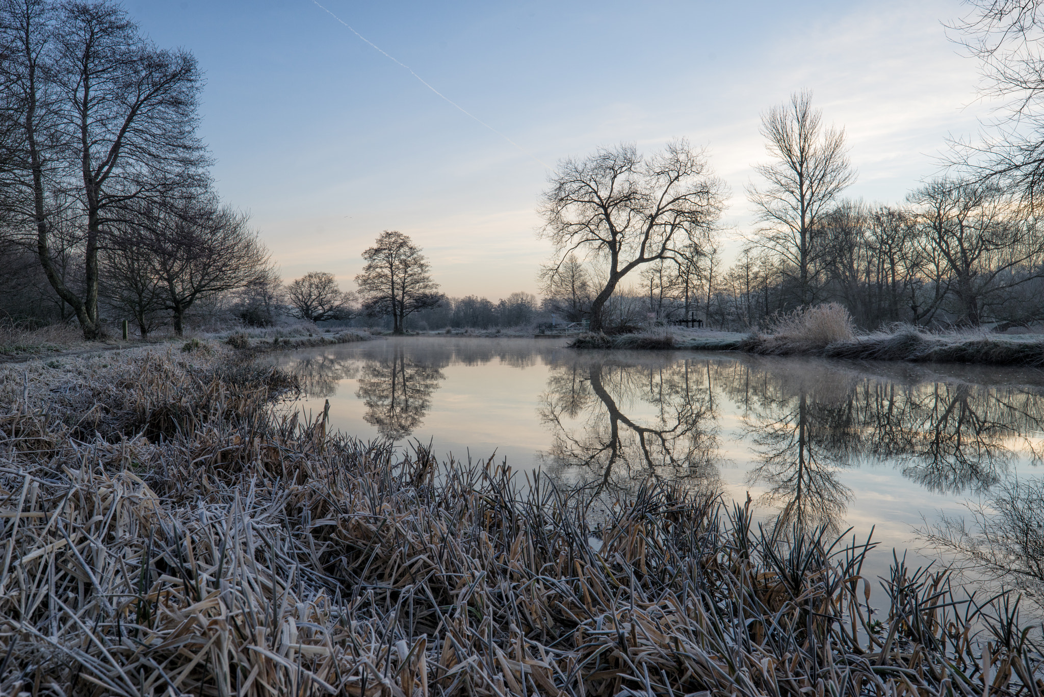Sony a7R sample photo. River wey winter morning photography