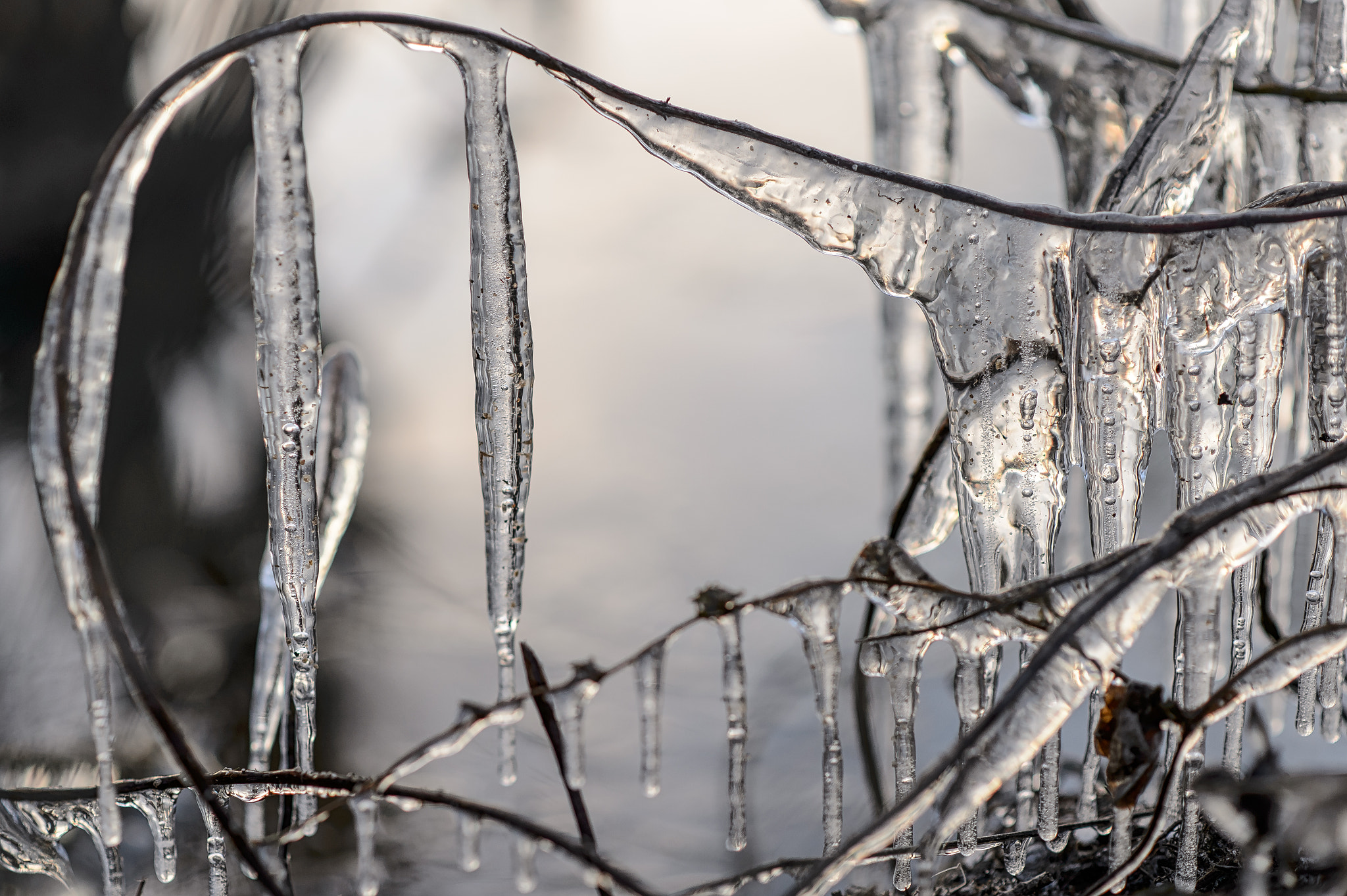 Nikon Df + Nikon AF-S Nikkor 85mm F1.8G sample photo. Icicles photography