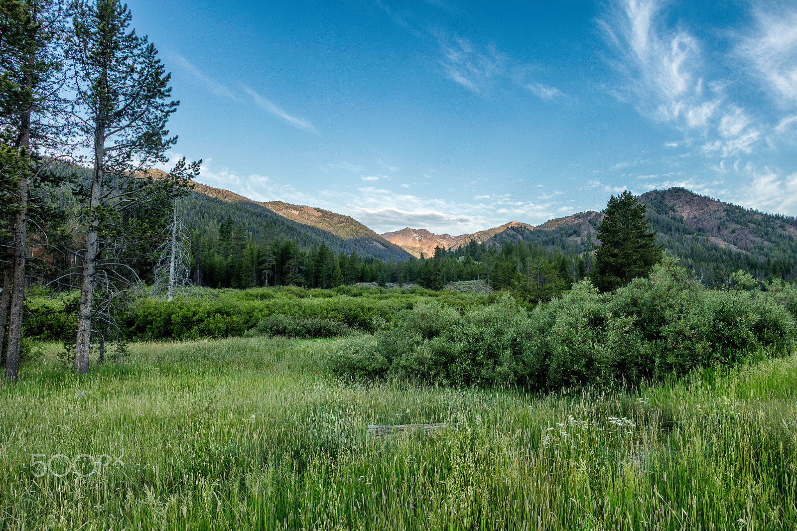 Canon EF 20-35mm F3.5-4.5 USM sample photo. Sun valley idaho early morning photography