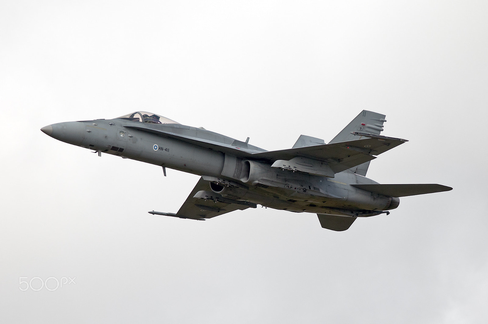 Nikon D300S + Nikon AF-S Nikkor 300mm F4D ED-IF sample photo. Finnish hornet photography