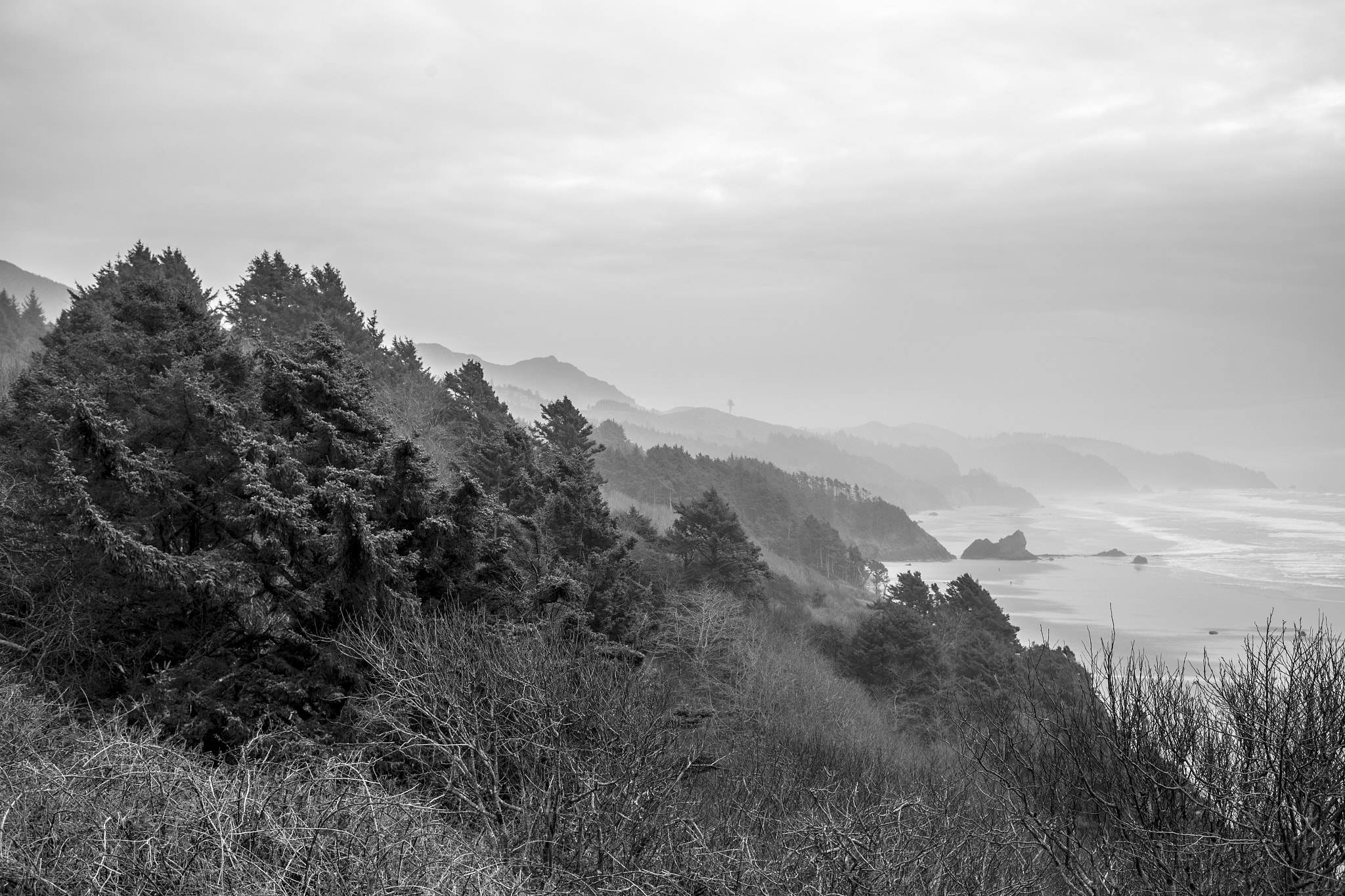 Canon EF 40mm F2.8 STM sample photo. Oregon coast photography