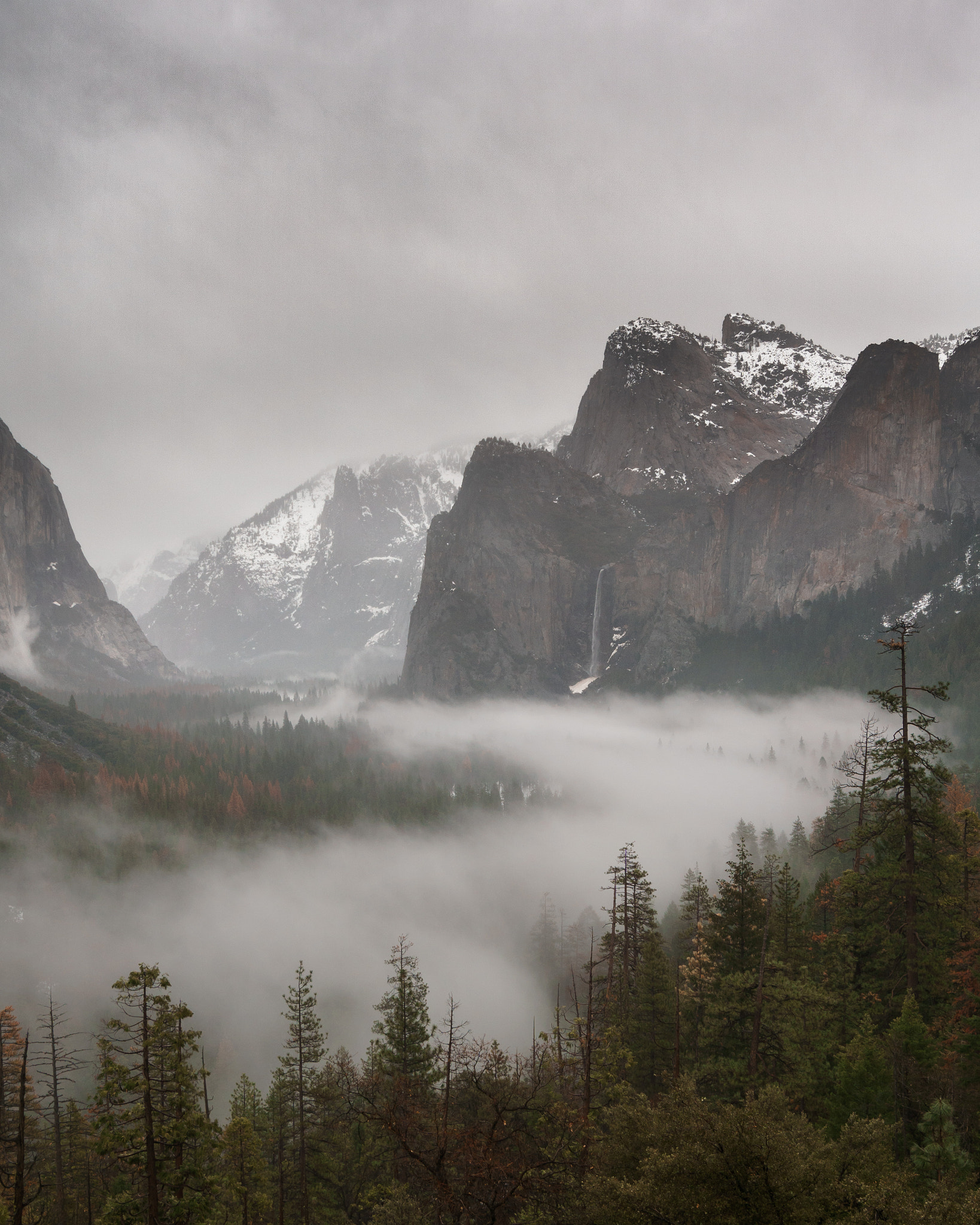 Sony a6000 + Sony Vario-Tessar T* FE 16-35mm F4 ZA OSS sample photo. Serpentine fog in yosemite valley photography