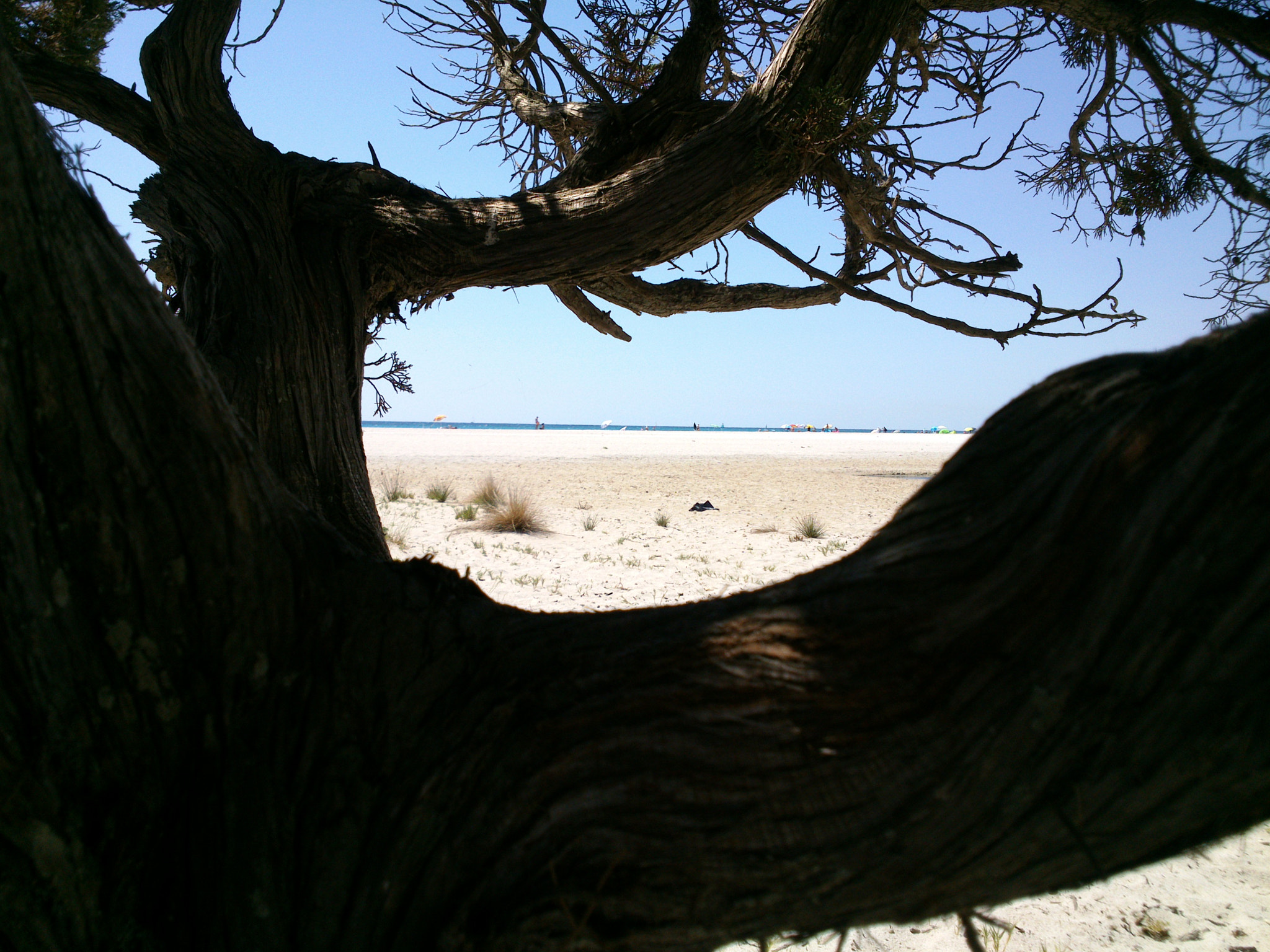 Sony Ericsson Xperia P sample photo. Spiaggia di bèrchida da dietro l'albero.jpg photography
