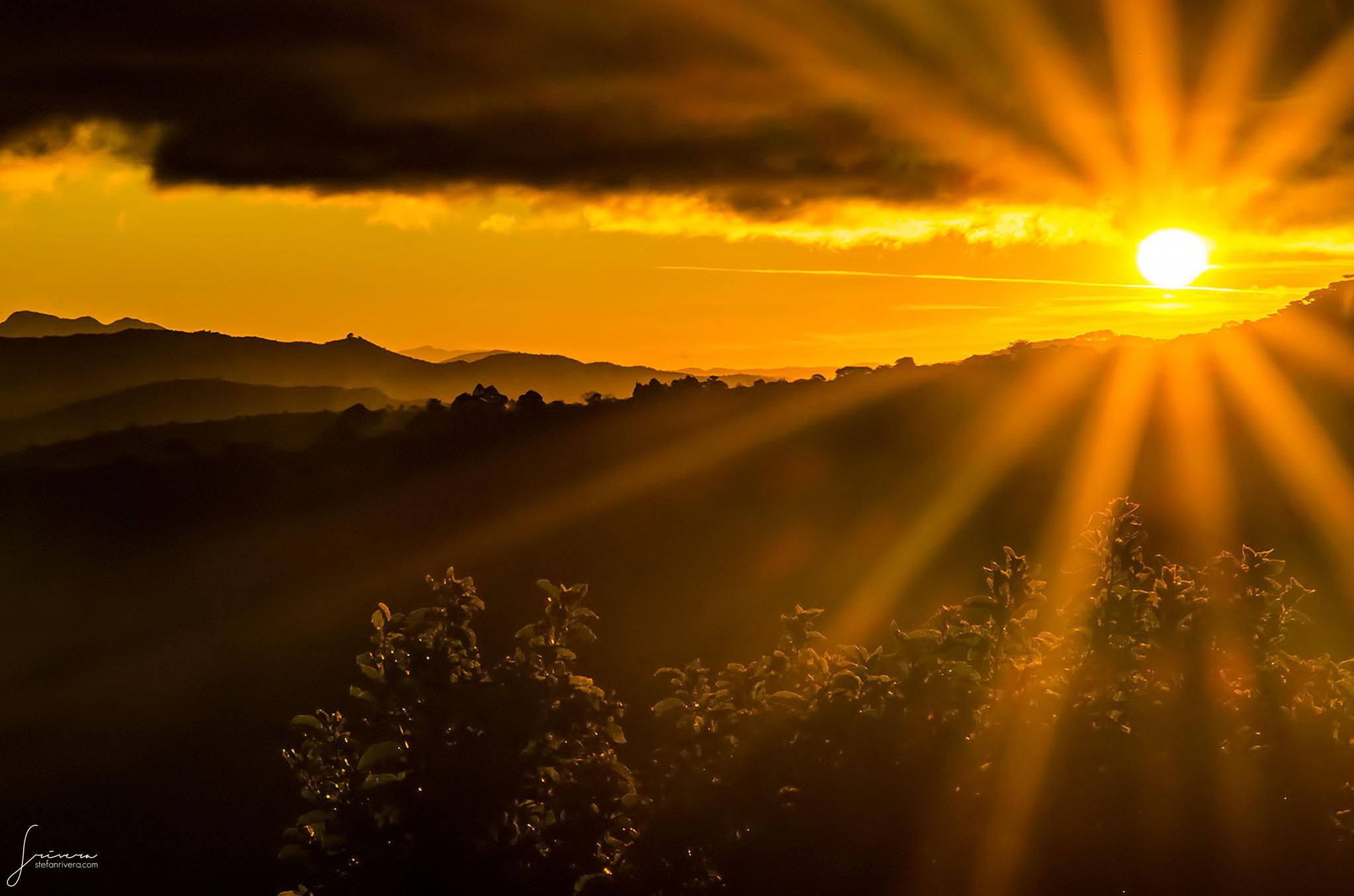 Sigma 17-70mm F2.8-4.5 DC Macro Asp. IF sample photo. Golden dawn... photography