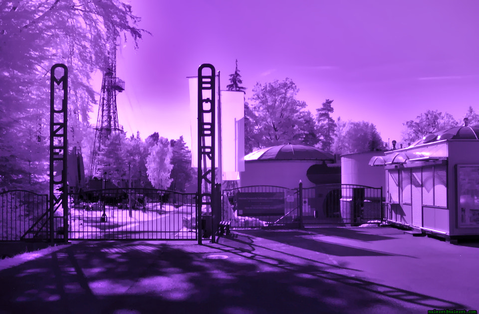 Canon POWERSHOT A540 sample photo. (infrared) photography