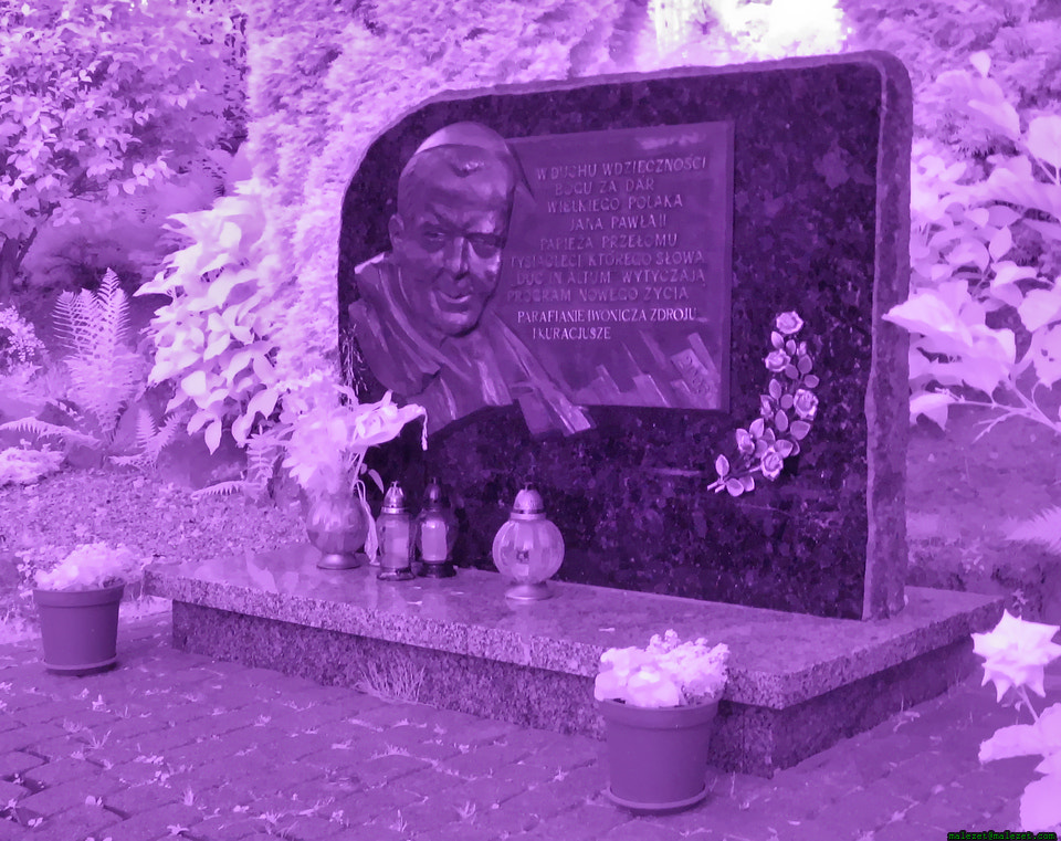 Canon POWERSHOT A540 sample photo. Jp ii (infrared) photography