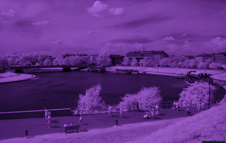 Canon POWERSHOT A540 sample photo. Wisła (river) in infrared photography