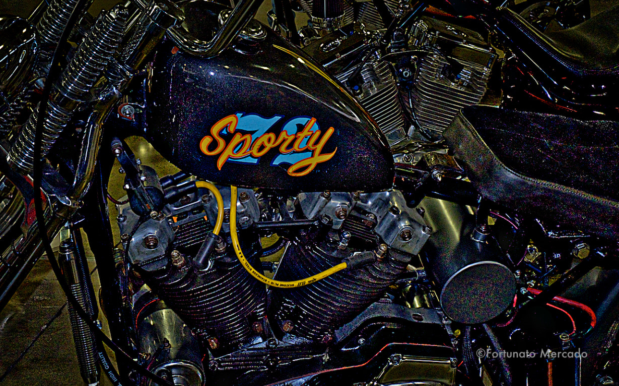 Fujifilm X-E1 + Fujifilm XF 18-135mm F3.5-5.6 R LM OIS WR sample photo. All about motorcycles photography
