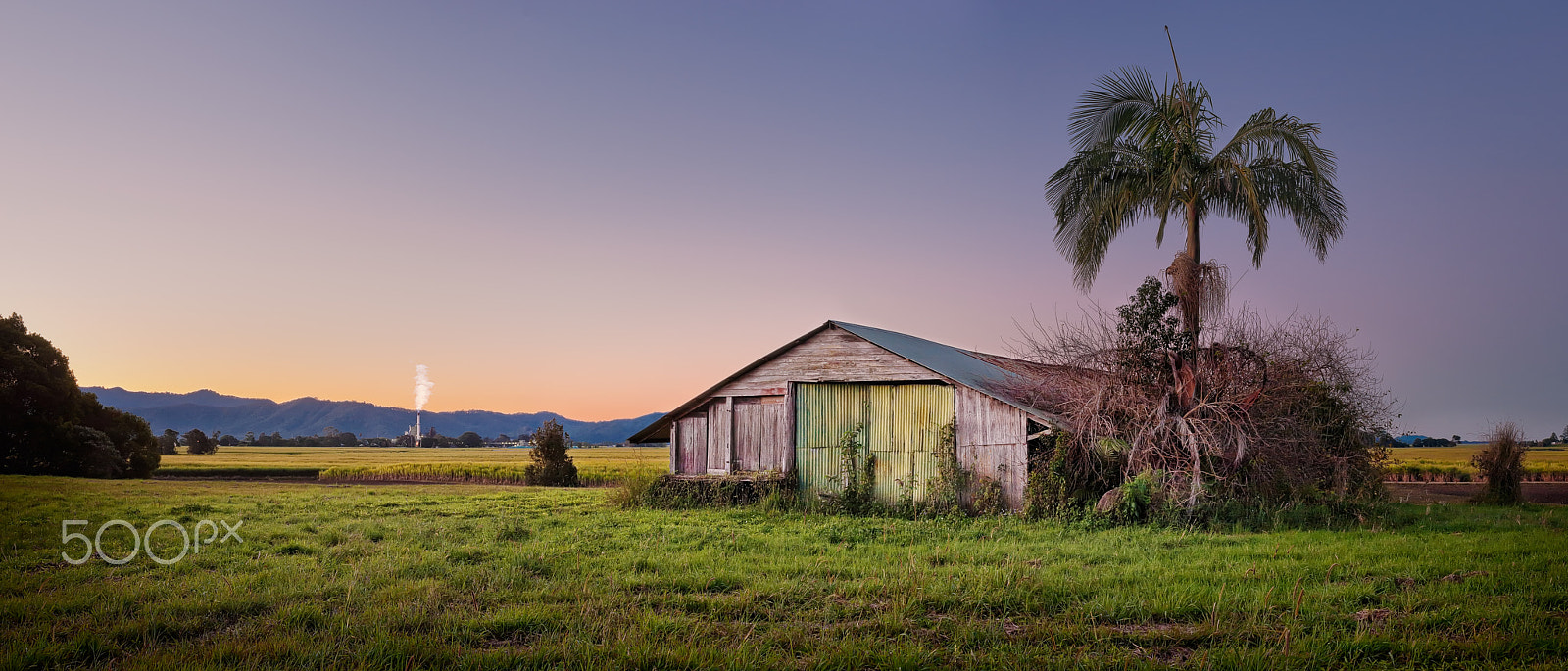 Nikon D80 + AF Zoom-Nikkor 35-70mm f/2.8D sample photo. Old barn on sugarcane farm photography