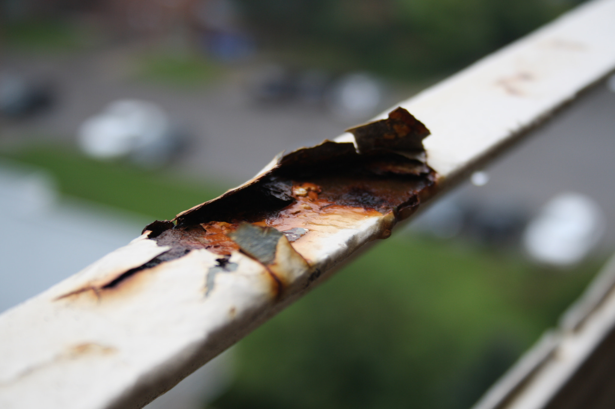 Canon EF-S 18-55mm F3.5-5.6 sample photo. Rust photography