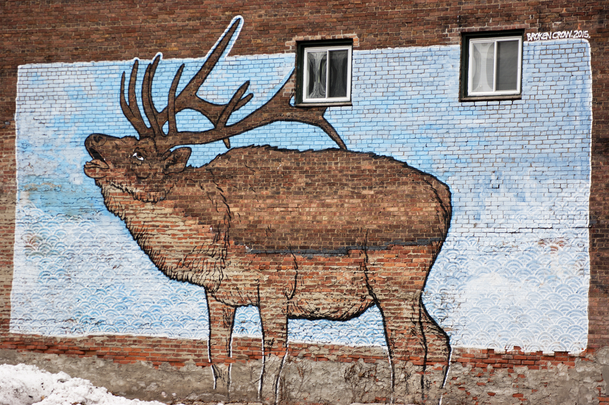 Sony Alpha DSLR-A350 + Sony DT 55-200mm F4-5.6 SAM sample photo. Reindeer photography