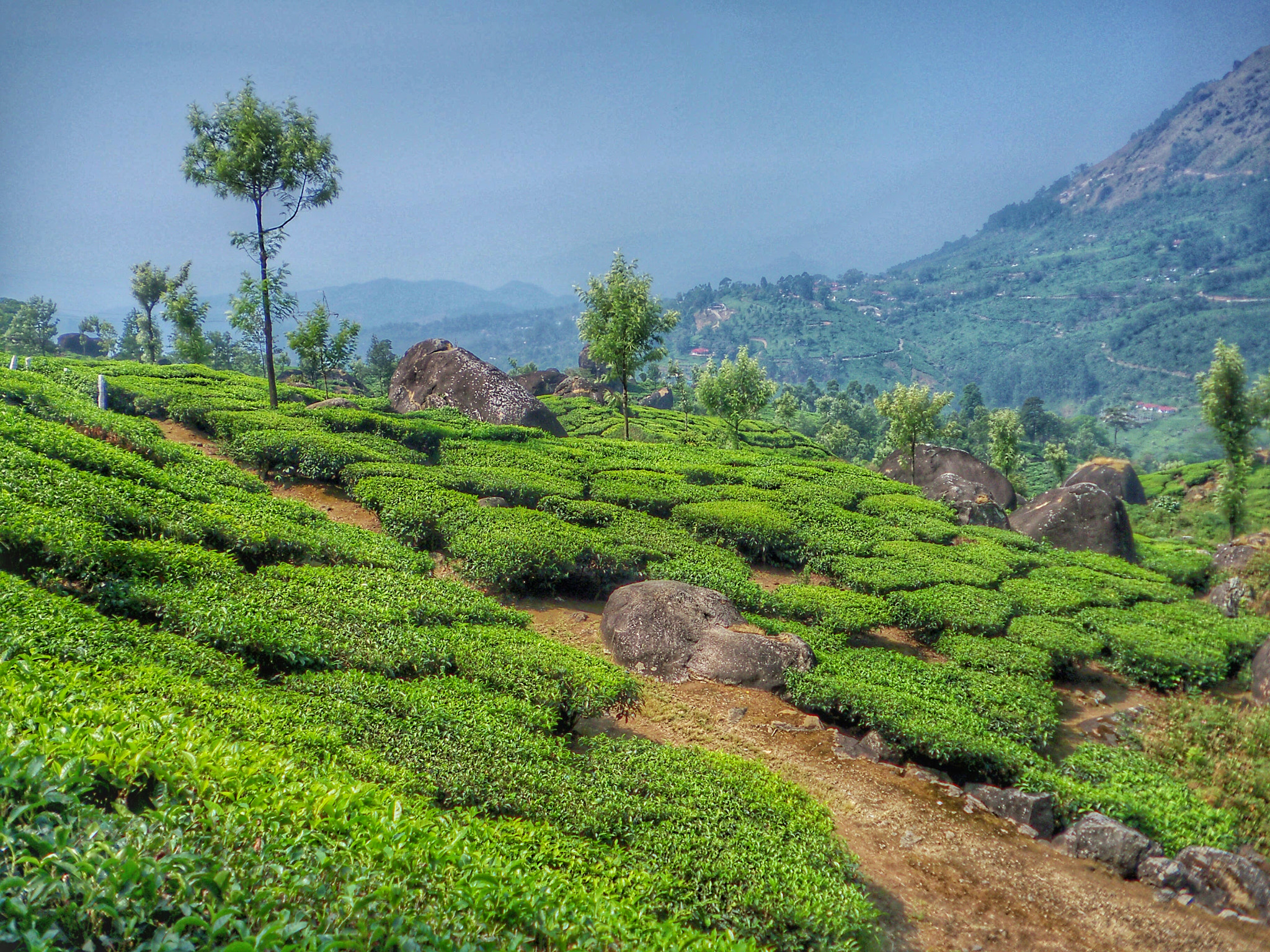 Kodak EASYSHARE M380 DIGITAL CAMERA sample photo. Hill station _munnar_kerala photography