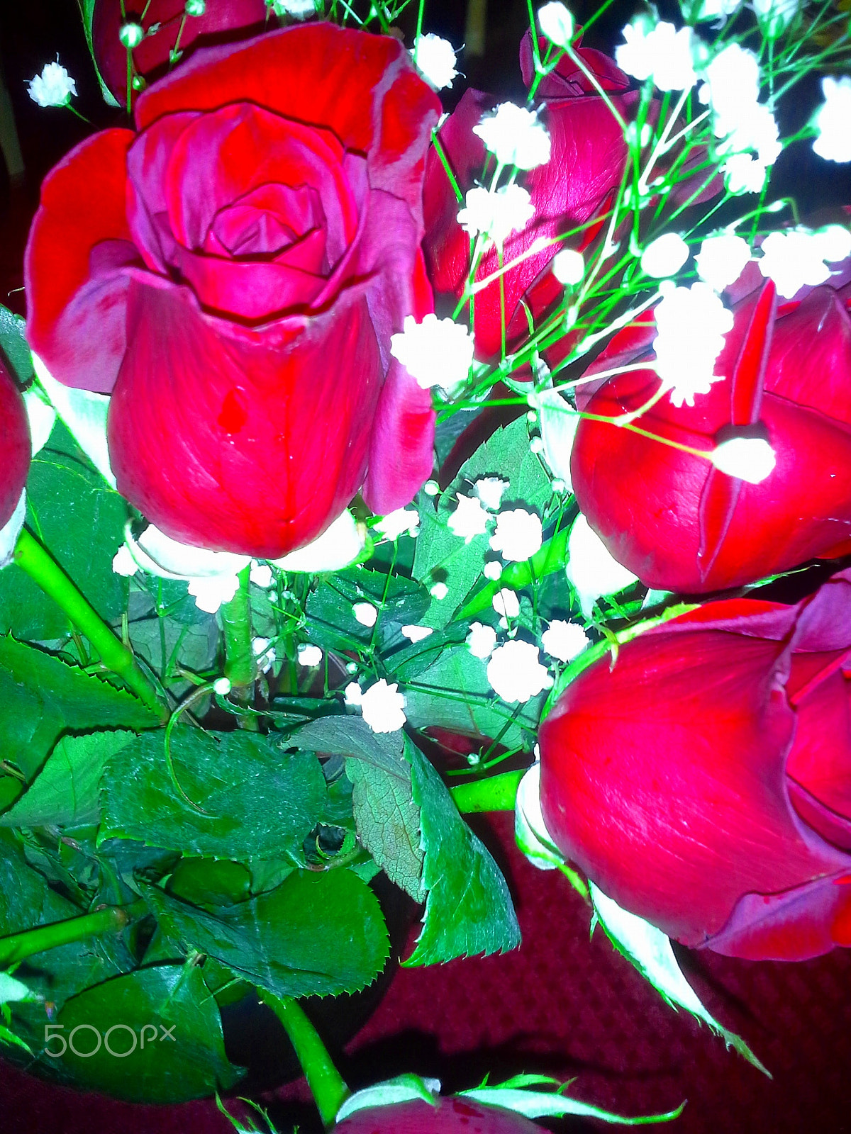 Samsung Galaxy S BlazeQ sample photo. A rose is a rose... photography