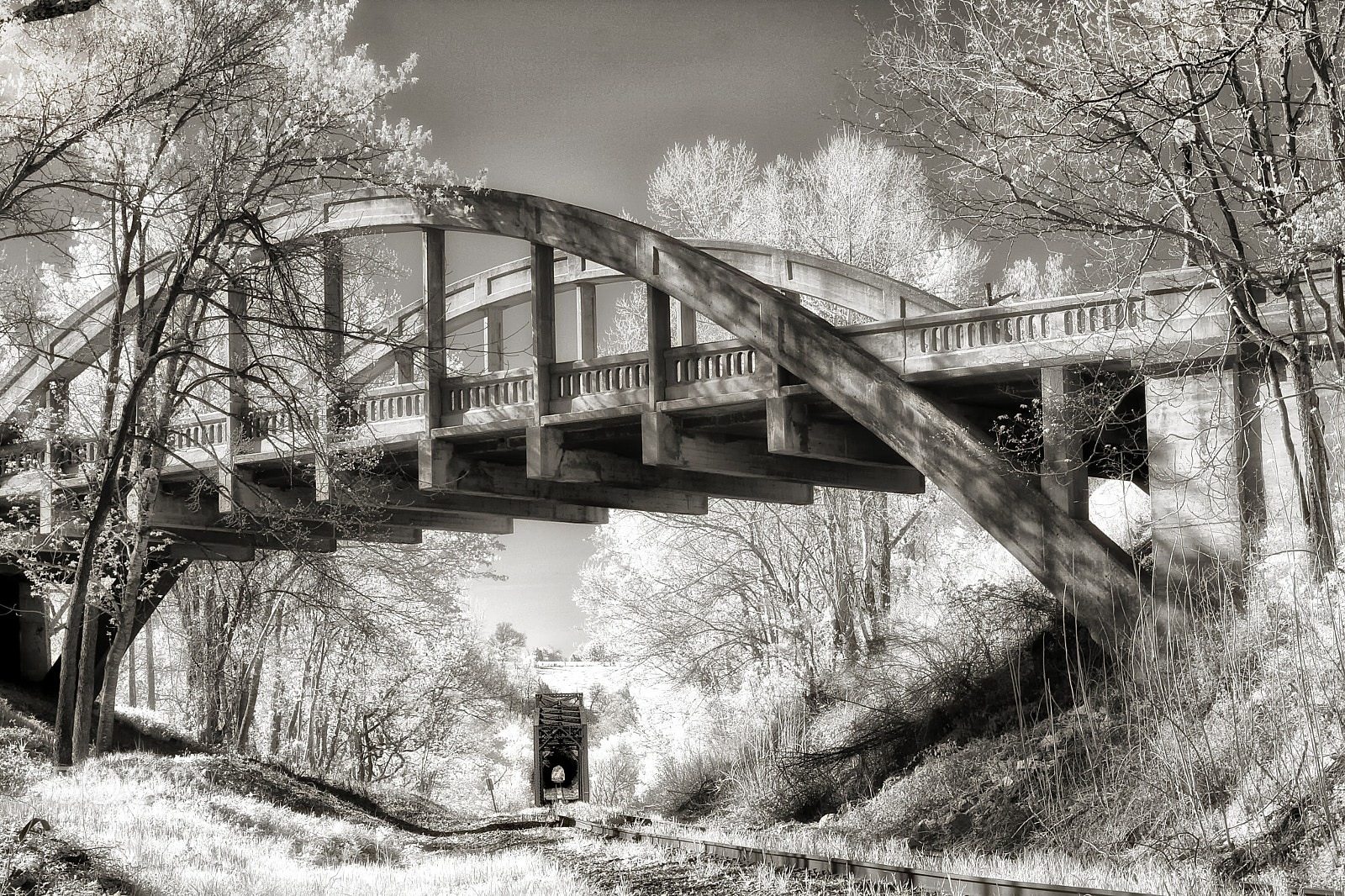 Canon EF 24-70mm F2.8L II USM sample photo. Somewhere under the rainbow bridge photography