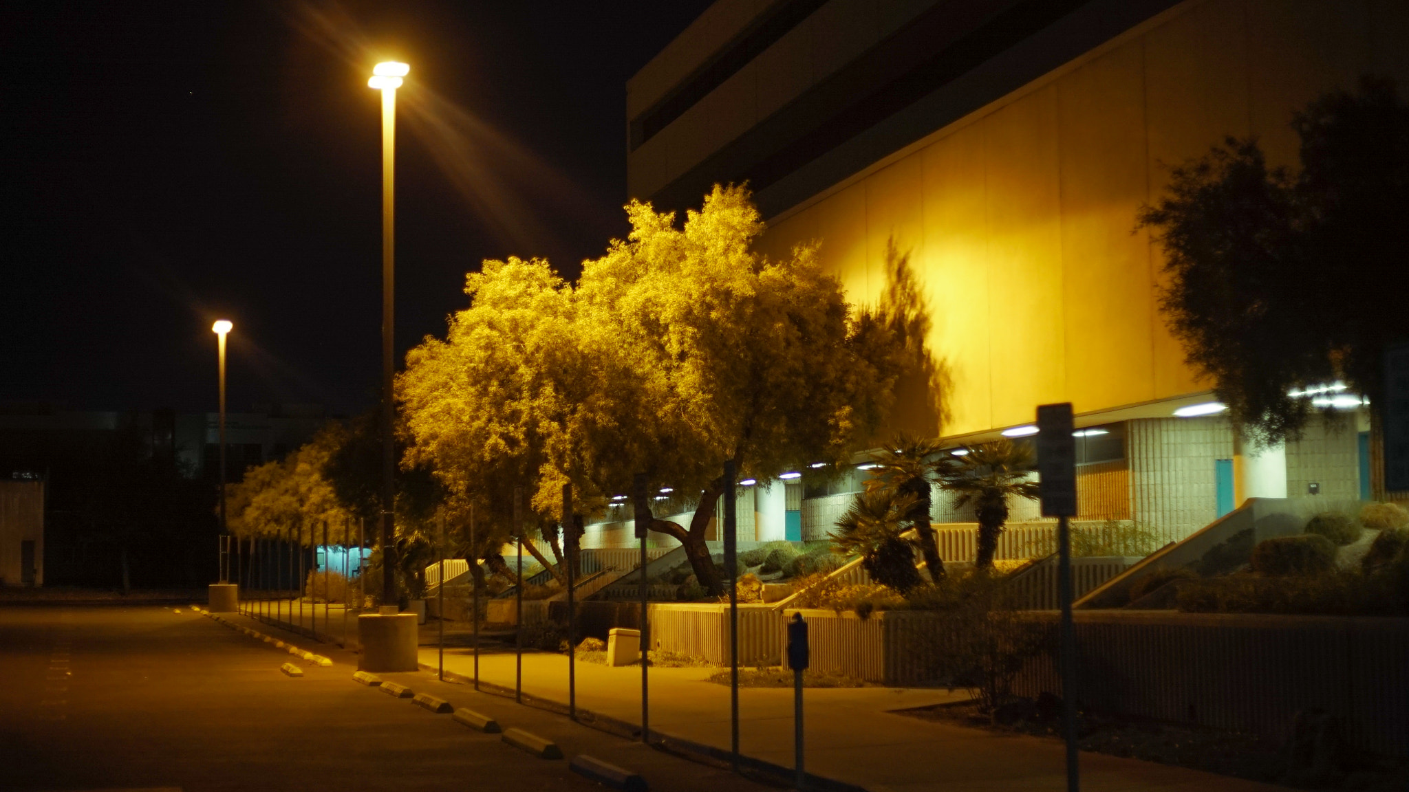 50mm F1.8 II sample photo. Midnight on campus photography