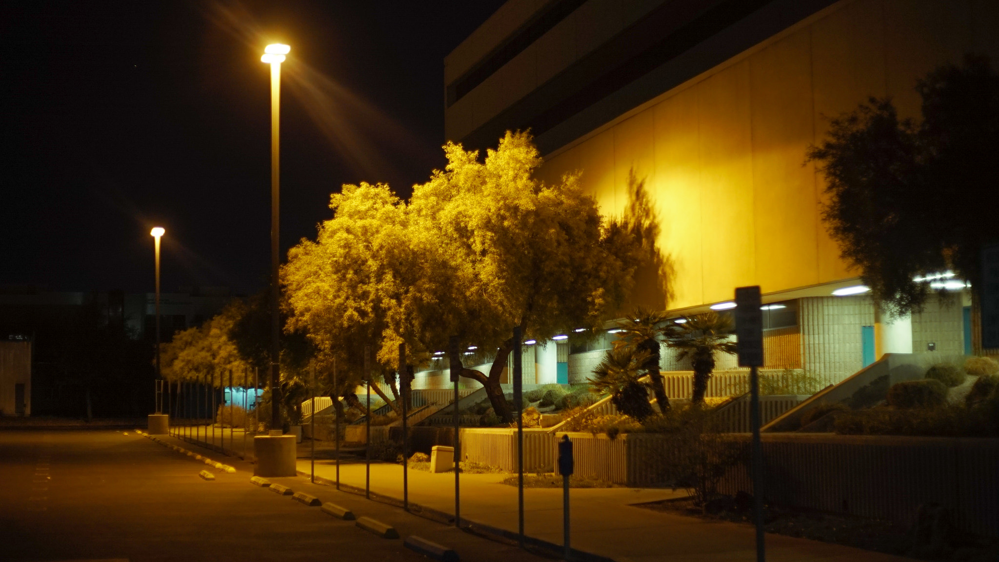 Sony a7S II + 50mm F1.8 II sample photo. Midnight on campus photography