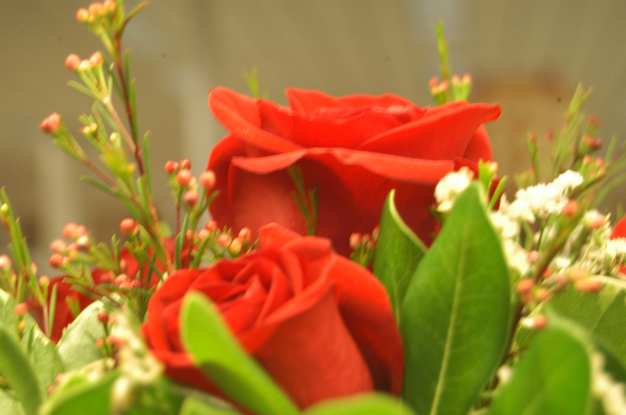 Nikon D100 sample photo. Pauljj photography