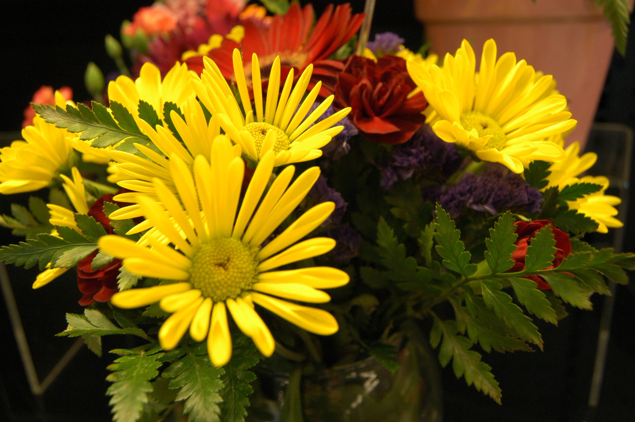 Nikon D100 sample photo. Pauljj photography