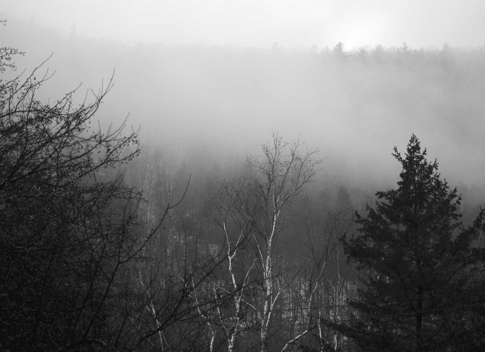 Nikon AF-S DX Micro Nikkor 40mm F2.8 sample photo. The clouds came down to say hello photography