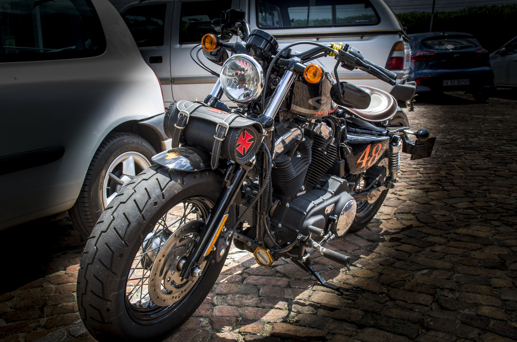 Tamron AF 18-200mm F3.5-6.3 XR Di II LD Aspherical (IF) Macro sample photo. Harley photography