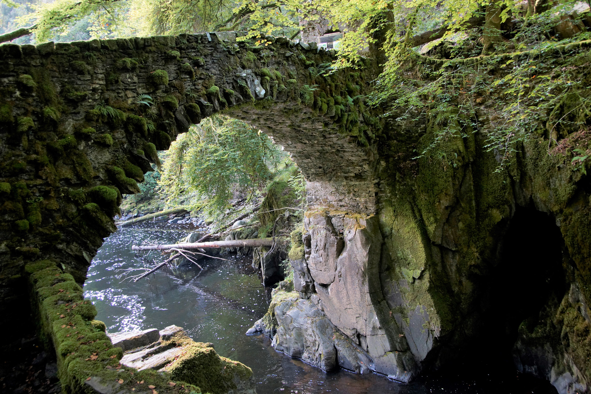 Sony SLT-A77 + Tamron Lens (255) sample photo. Old bridge in forest, the hermitage, dunkeld. photography