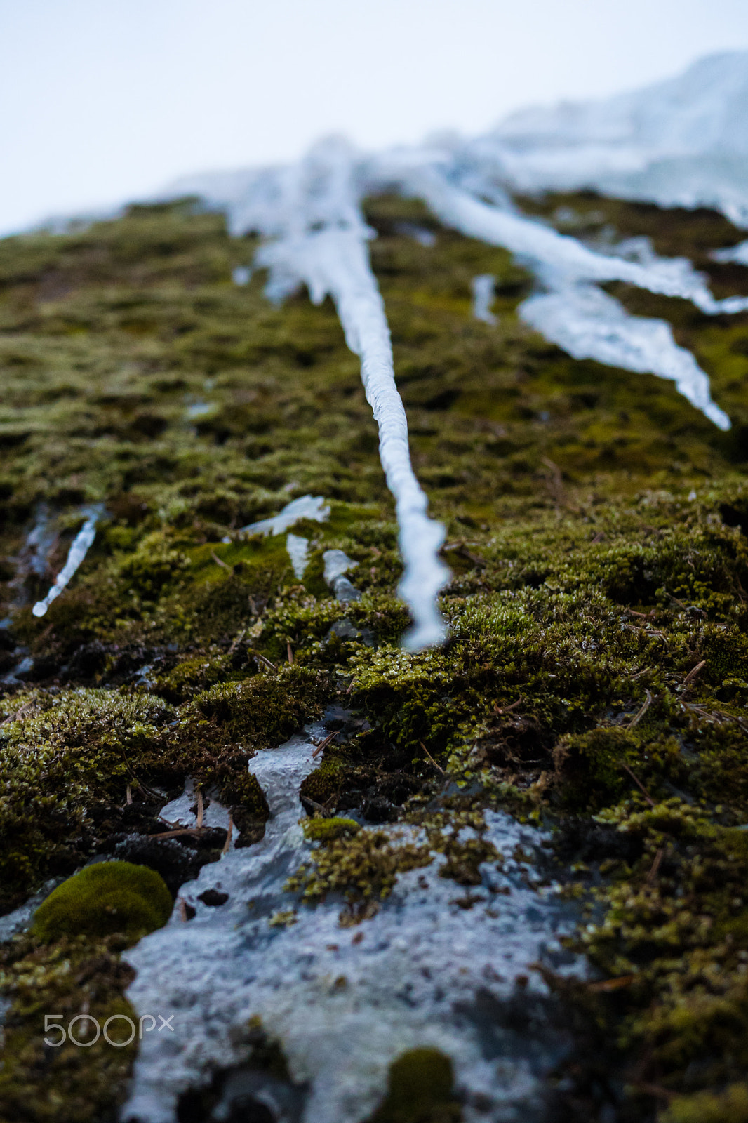 Panasonic Lumix DMC-GH4 + Panasonic Lumix G 20mm F1.7 ASPH sample photo. Hanging icicle photography
