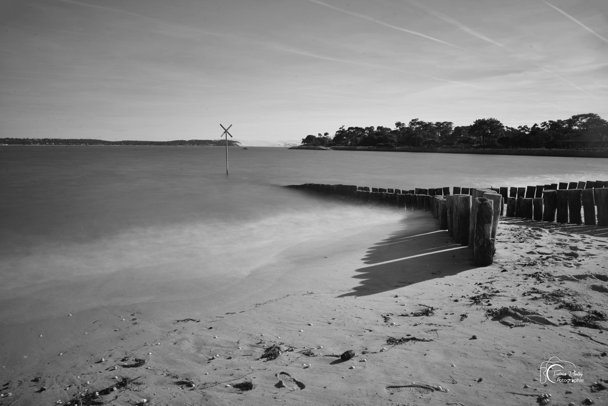 AF Zoom-Nikkor 24-120mm f/3.5-5.6D IF sample photo. Cap ferret photography