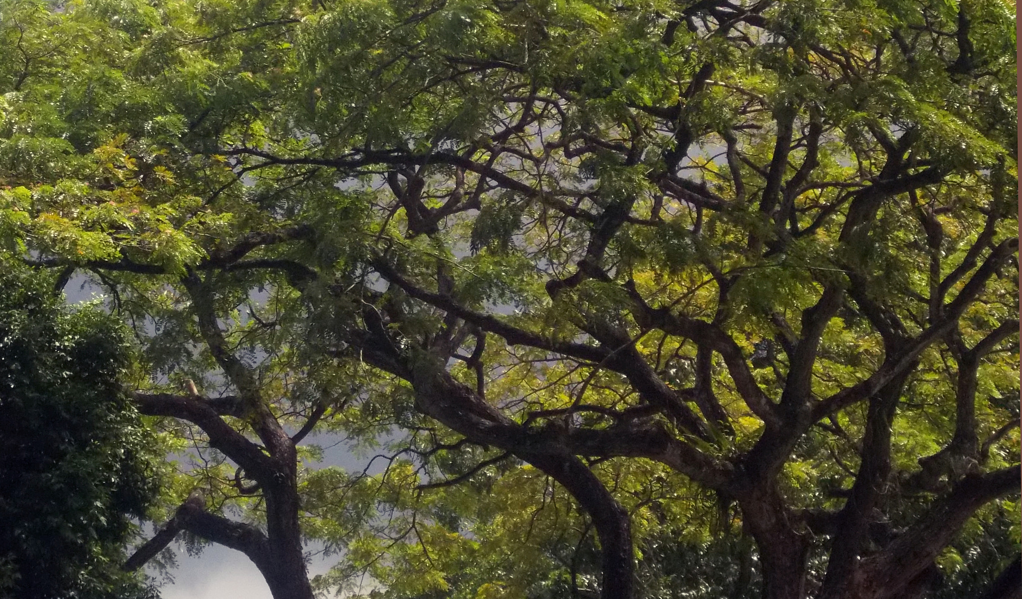 Nikon COOLPIX L27 sample photo. Before the rain photography