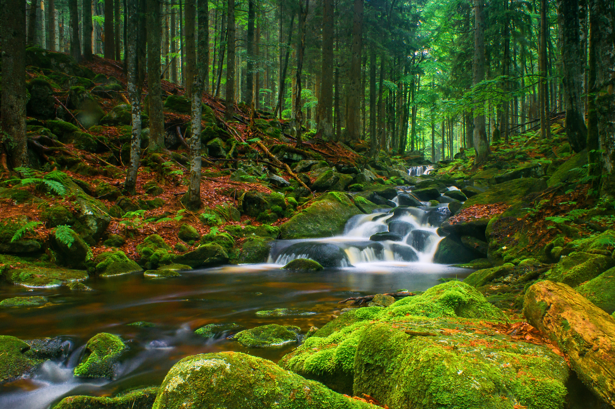Sony Alpha DSLR-A550 sample photo. A small creek in the bavarian forest photography
