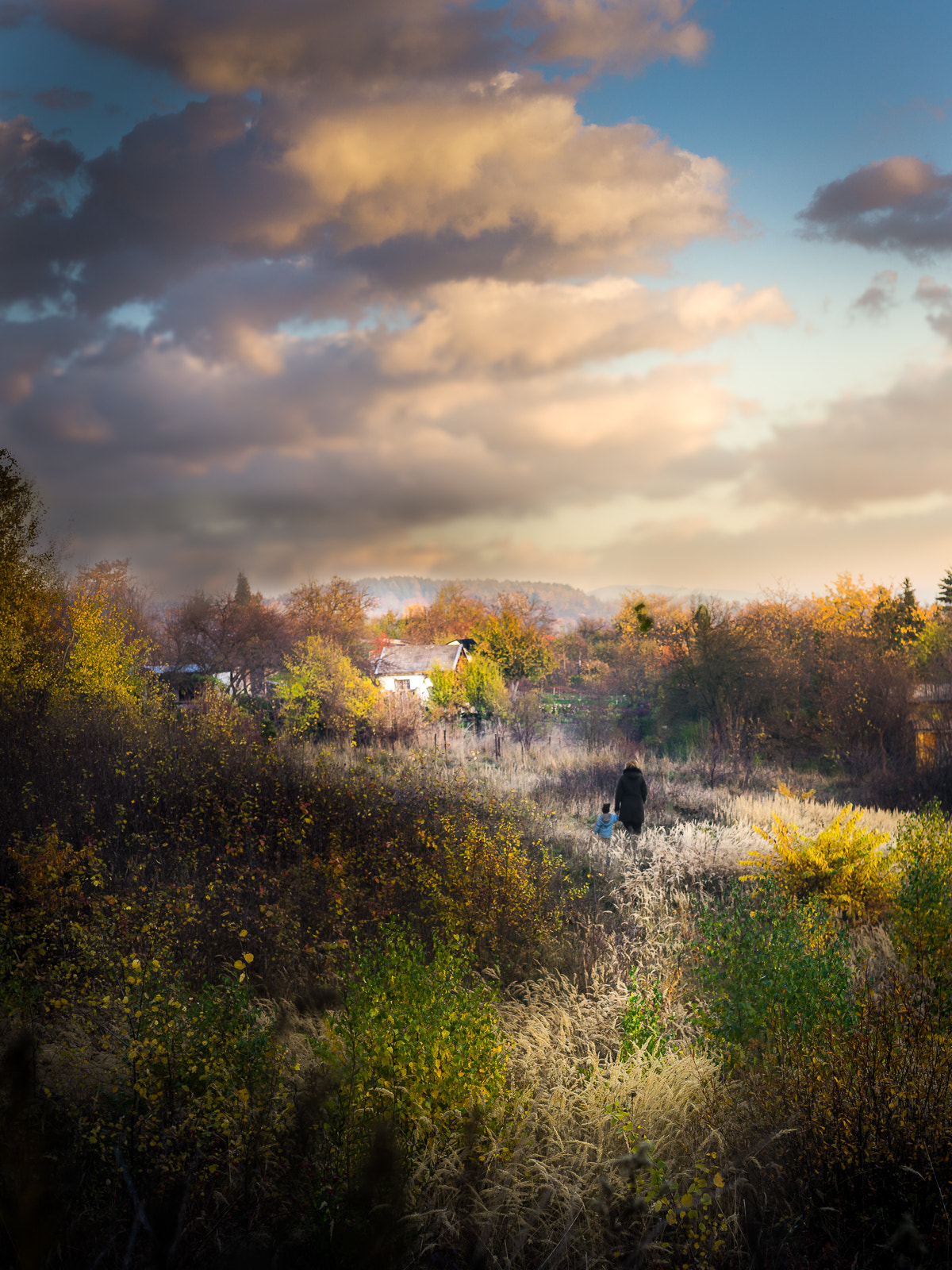 Sony a7 + Sony 50mm F1.4 sample photo. (not that) far away.... photography