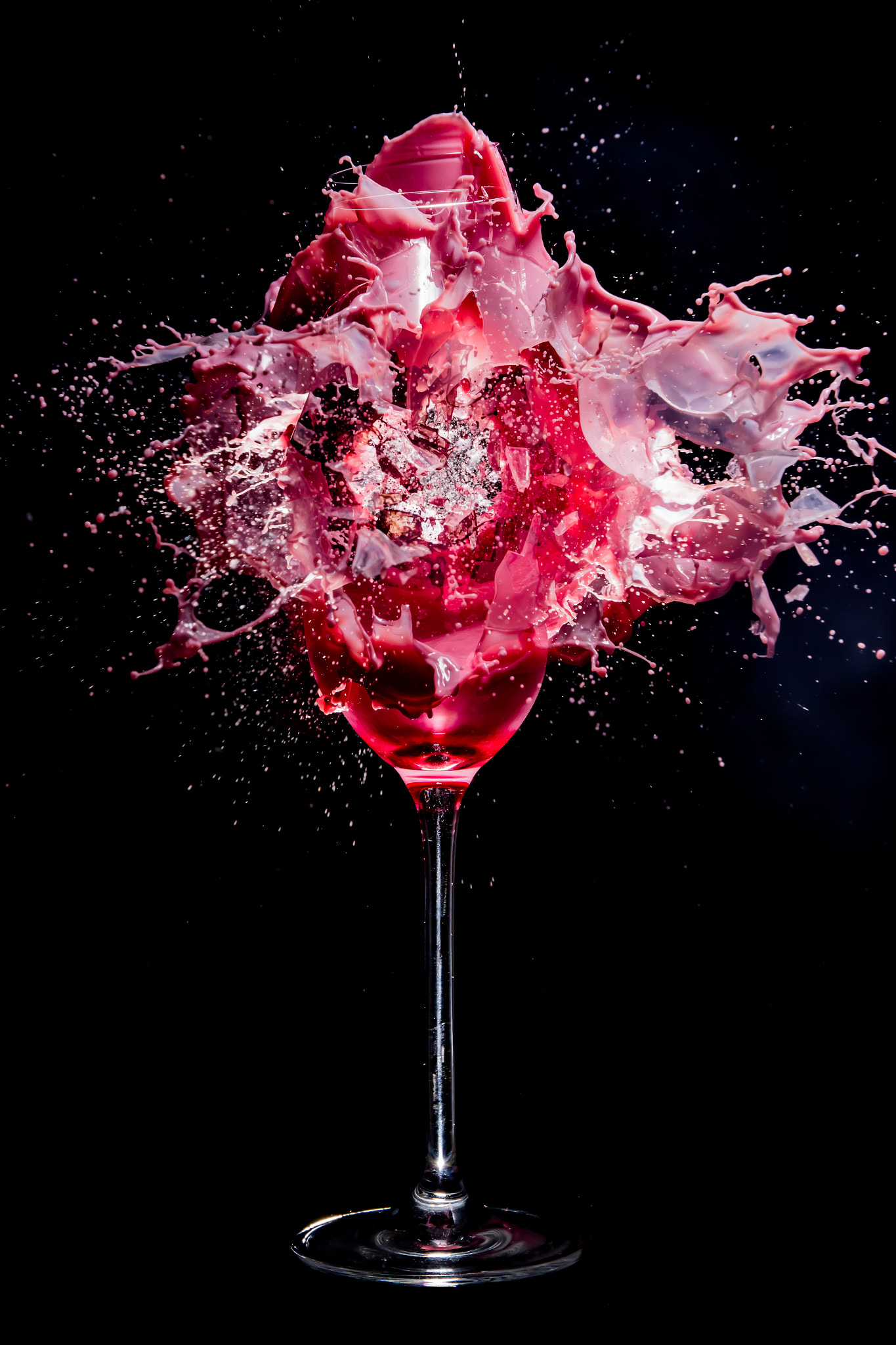 Canon EF 24-70mm F4L IS USM sample photo. Red rose photography