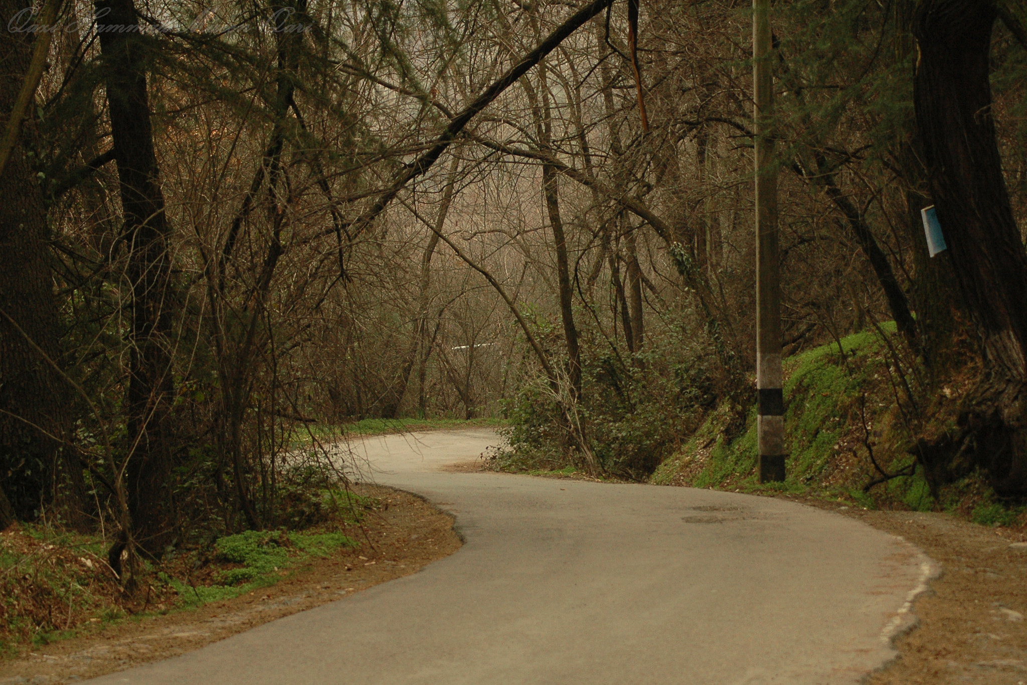 Nikon D70s sample photo. The road  to paradise photography