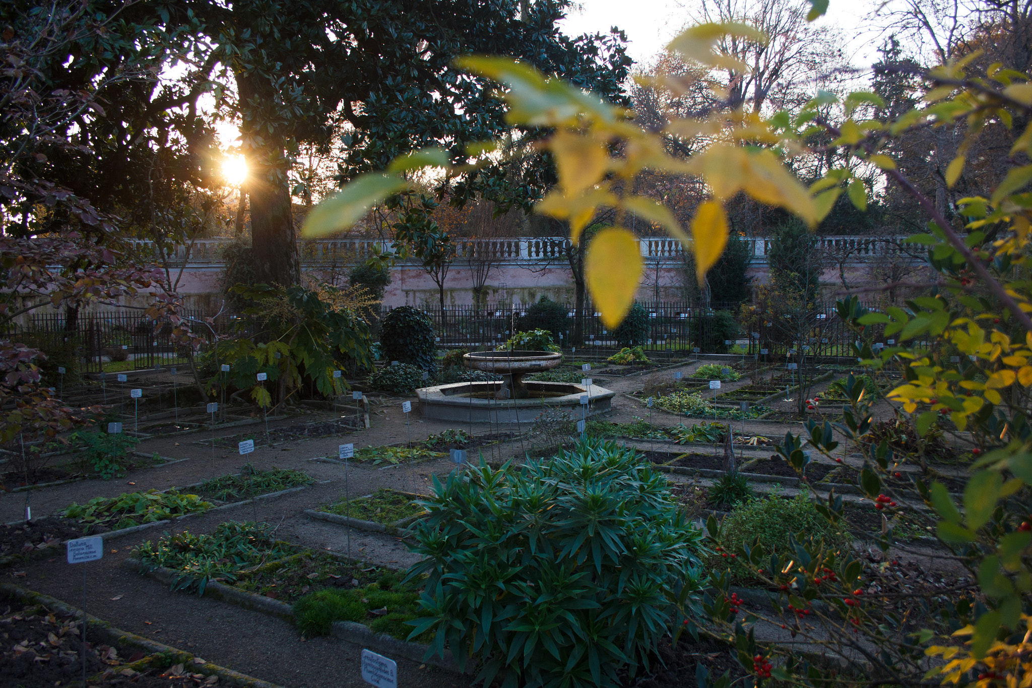 Canon EF-S 18-55mm F3.5-5.6 sample photo. University garden photography