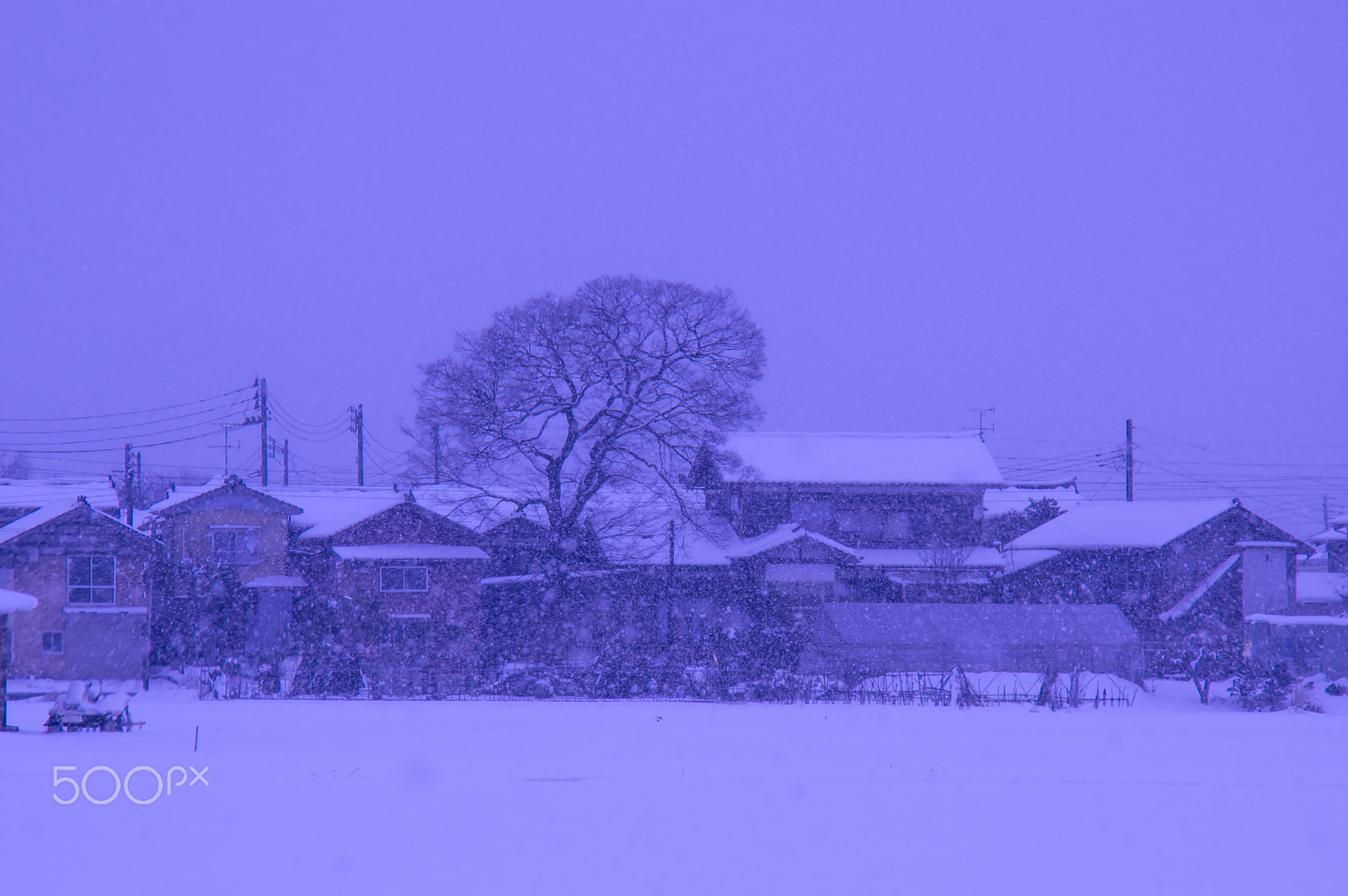 Pentax K-3 II + Tamron AF 18-200mm F3.5-6.3 XR Di II LD Aspherical (IF) Macro sample photo. "日本の冬 " winter in japan photography