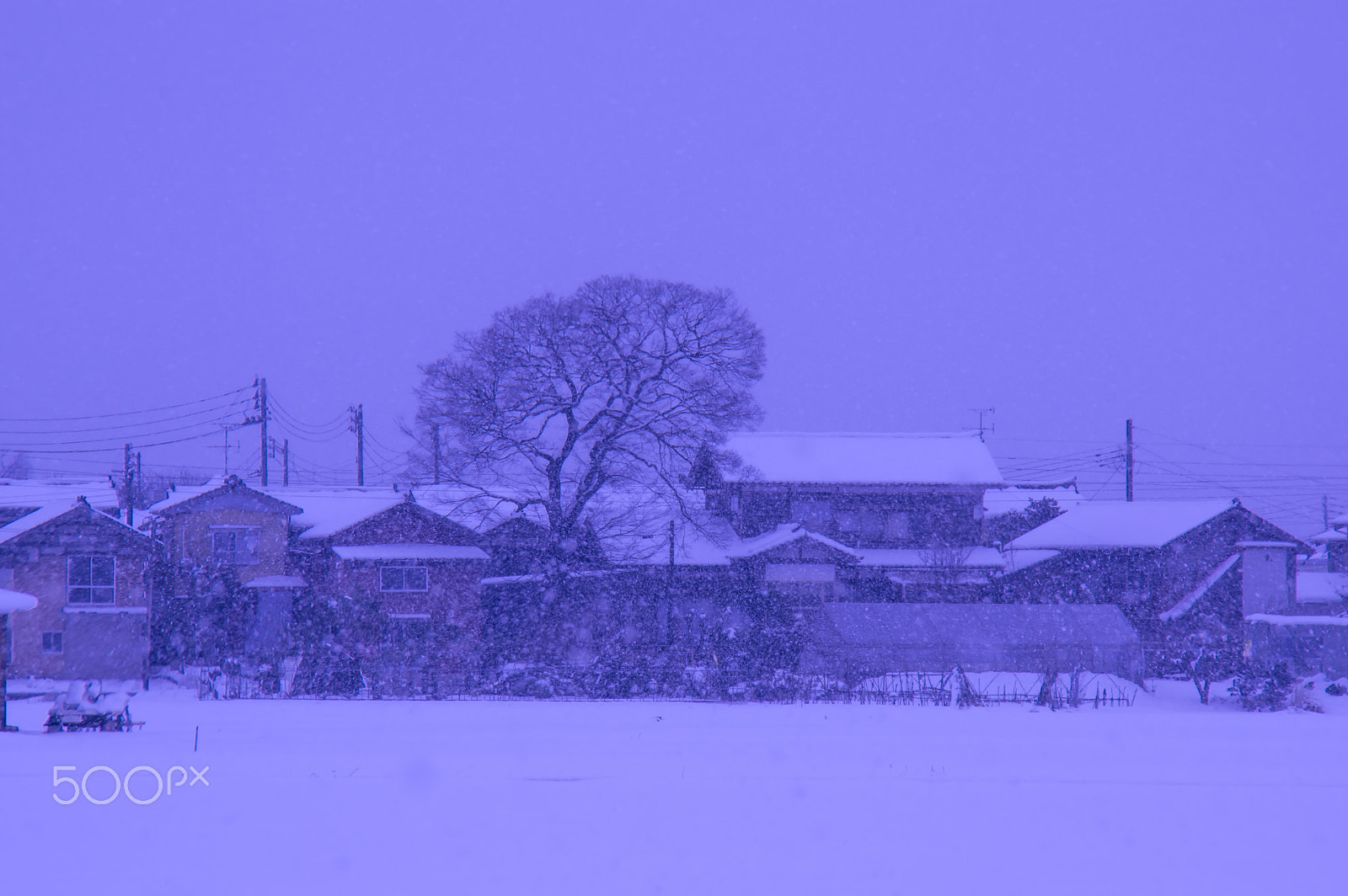 Tamron AF 18-200mm F3.5-6.3 XR Di II LD Aspherical (IF) Macro sample photo. "日本の冬 " winter in japan photography