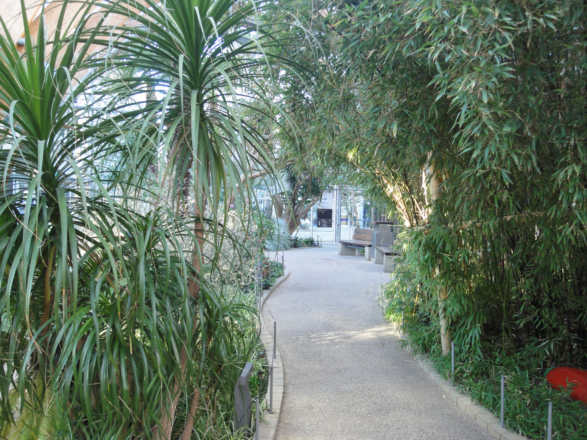 Sony DSC-WX5 sample photo. Winter garden, sheffield photography