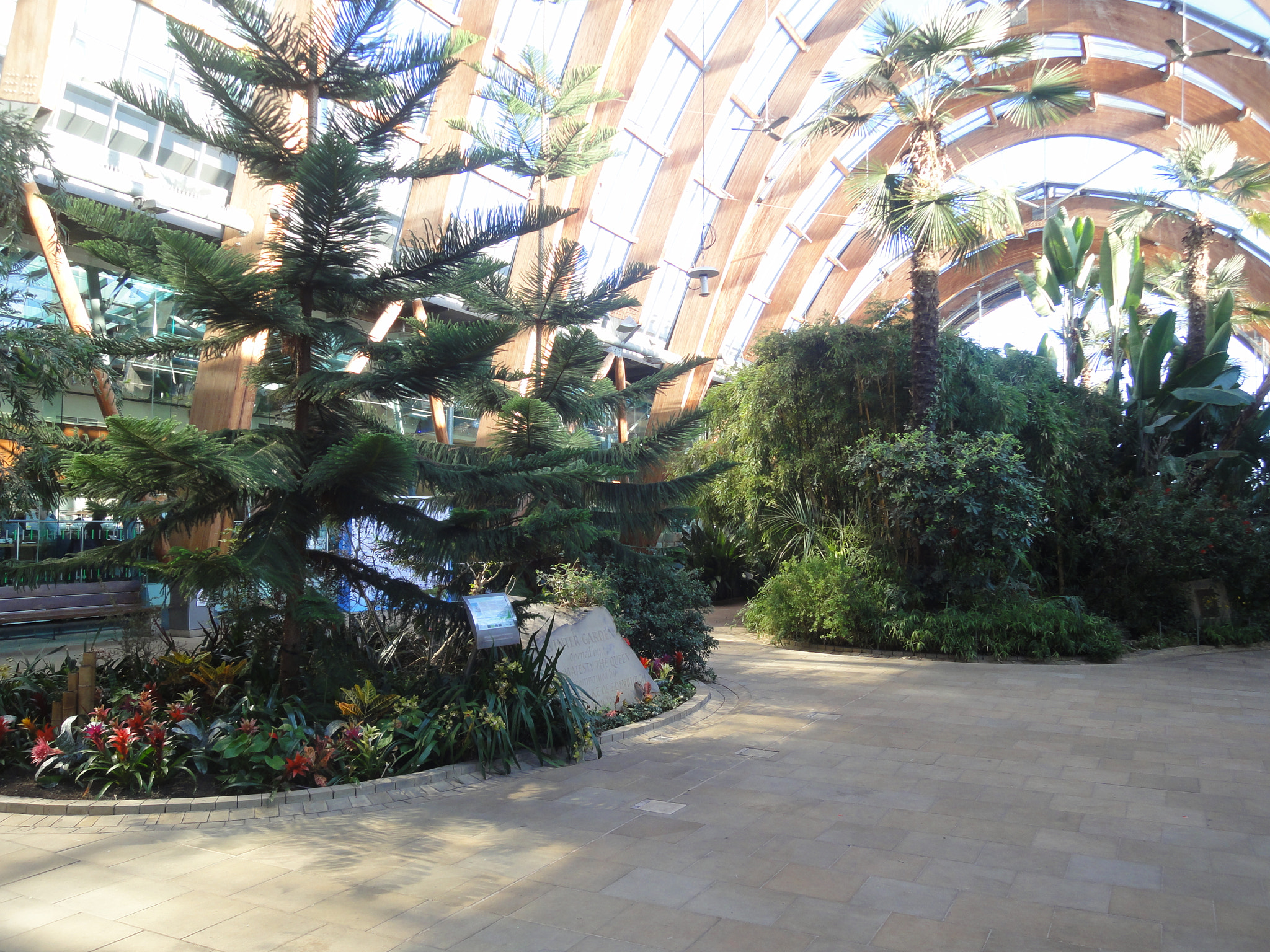 Sony DSC-WX5 sample photo. Winter garden, sheffield photography