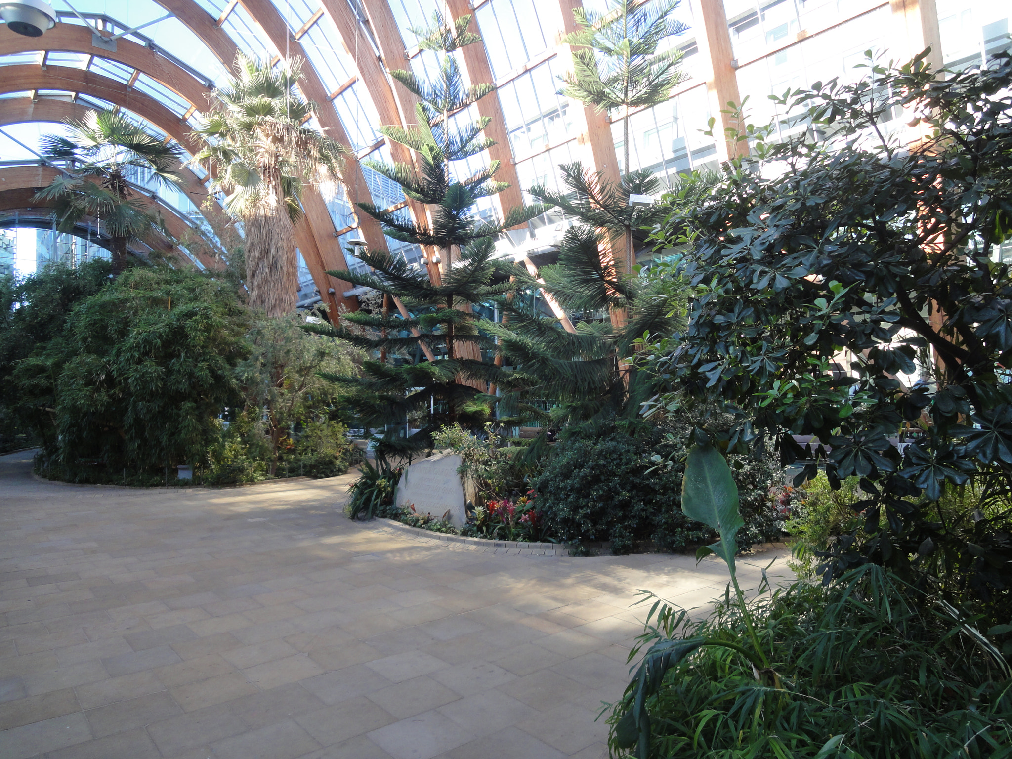 Sony DSC-WX5 sample photo. Winter garden, sheffield photography