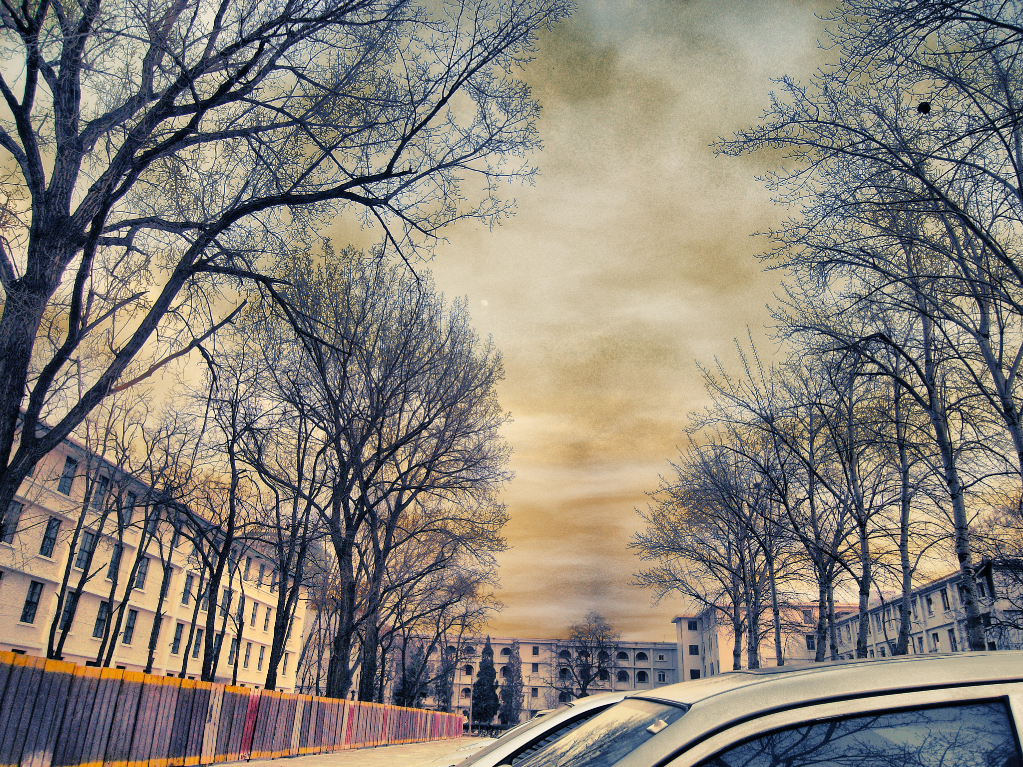 Ricoh Caplio GX100 sample photo. Blood of pm2.5,beijing photography