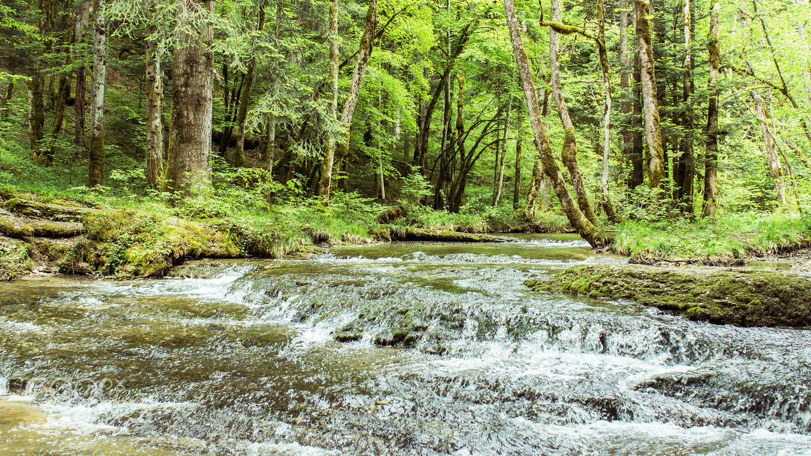 Sony Alpha NEX-7 + Sony 28mm F2.8 sample photo. Forest at the cascades du hérisson, france photography