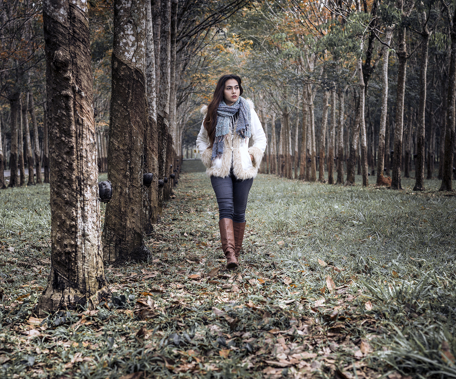 Hasselblad H5D + HC 80 sample photo. B0000740-2000.jpg photography