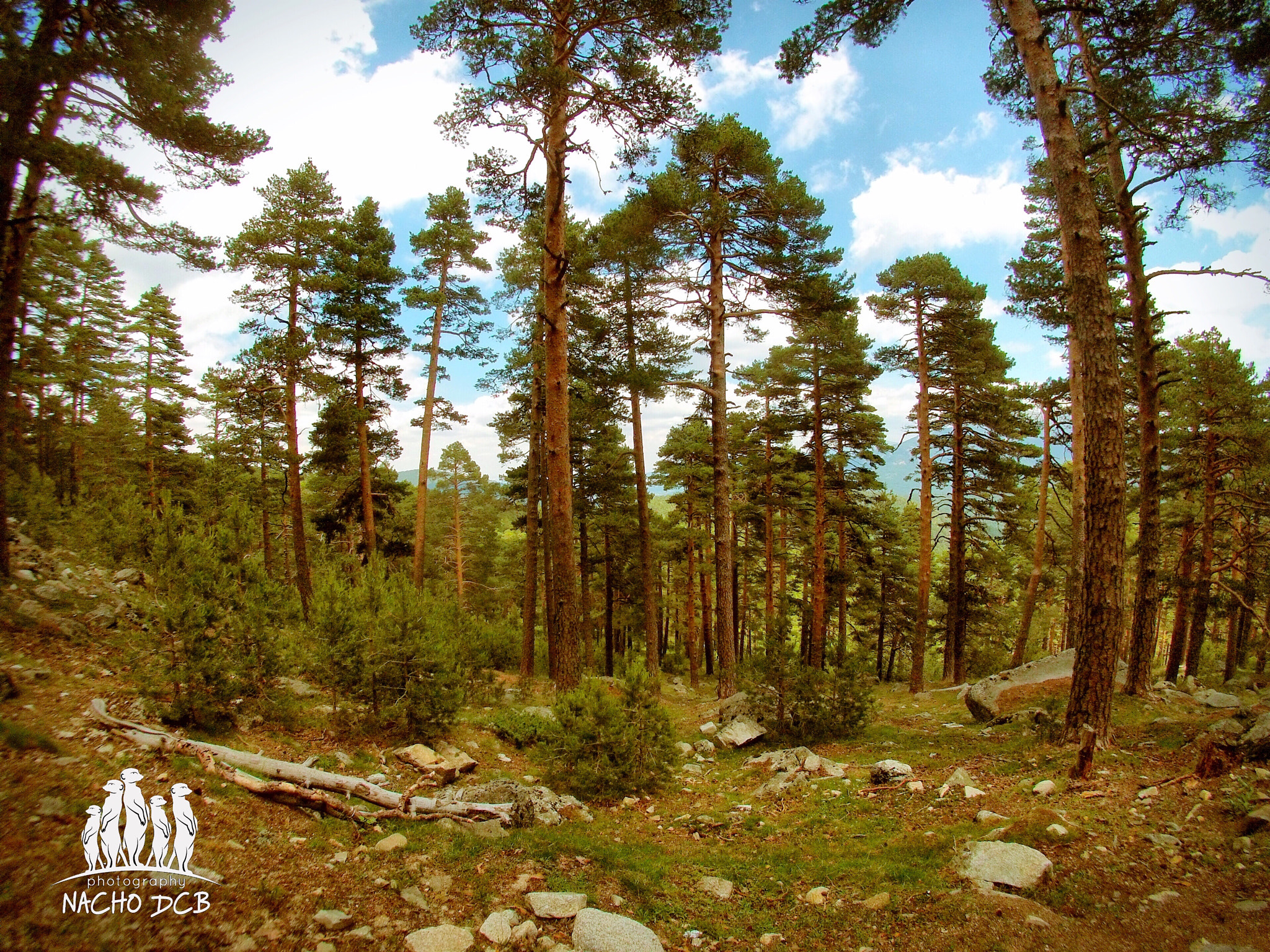 GoPro Hero3-Silver Edition sample photo. Green... photography