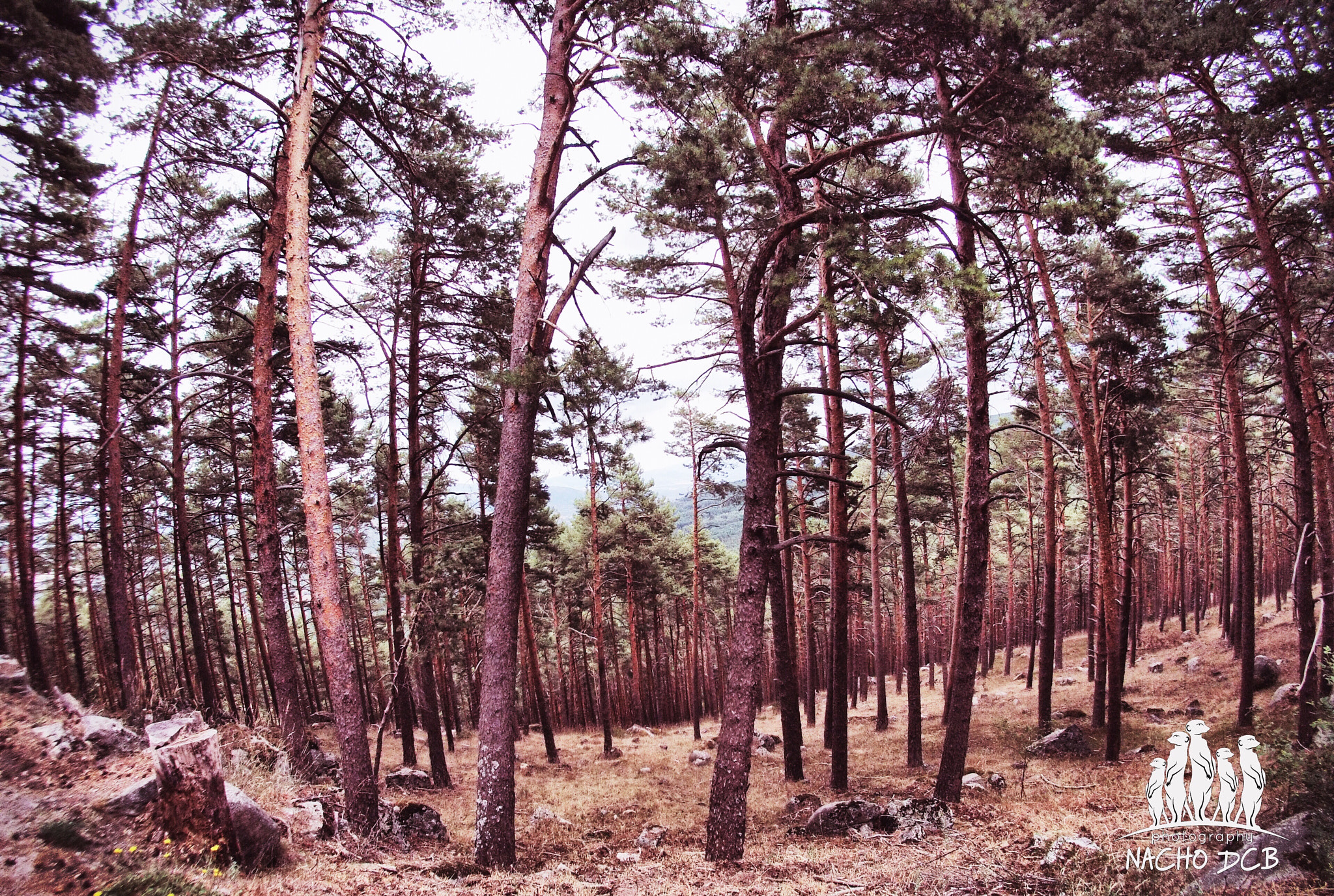 GoPro Hero3-Silver Edition sample photo. Vida... photography